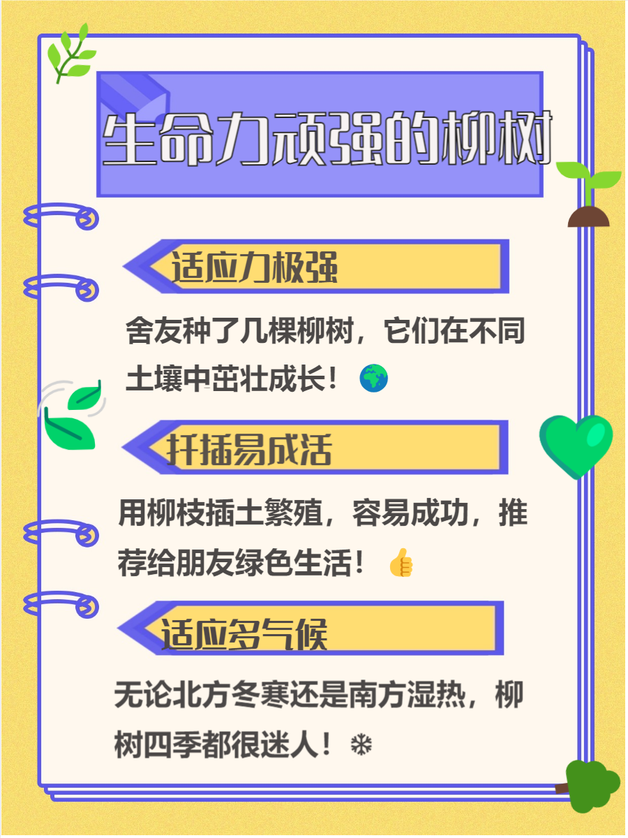 九九九九九九的魅力与意义