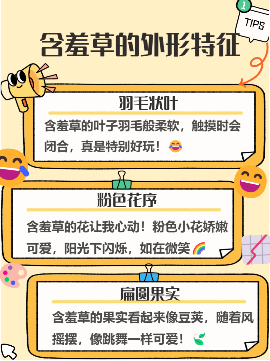含羞草实验所免费进入入口含羞草实验所，探索自然奥秘的免费平台