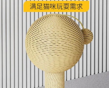 猫抓娱乐广播猫抓娱乐，探索现代生活中的趣味与创意-第1张图片