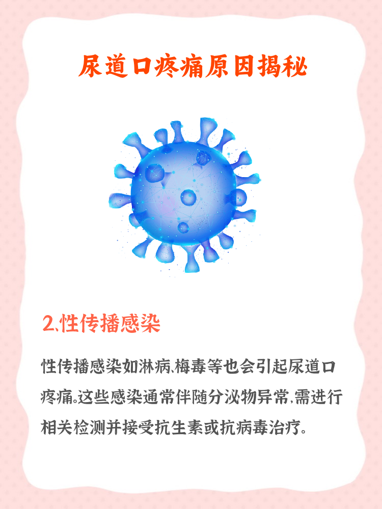 writeas尿道口尿道口健康的重要性，写给每一位关注自我健康的读者