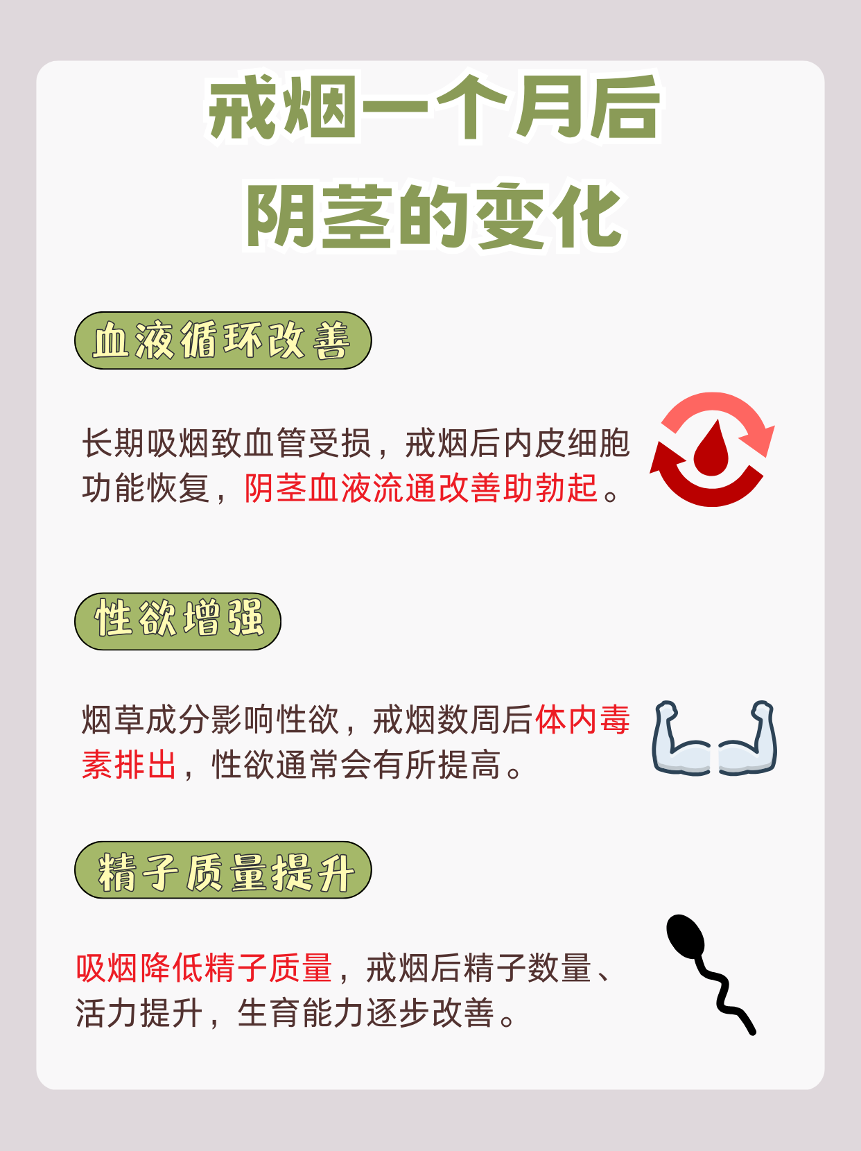 男人JJ的生理与健康-第2张图片