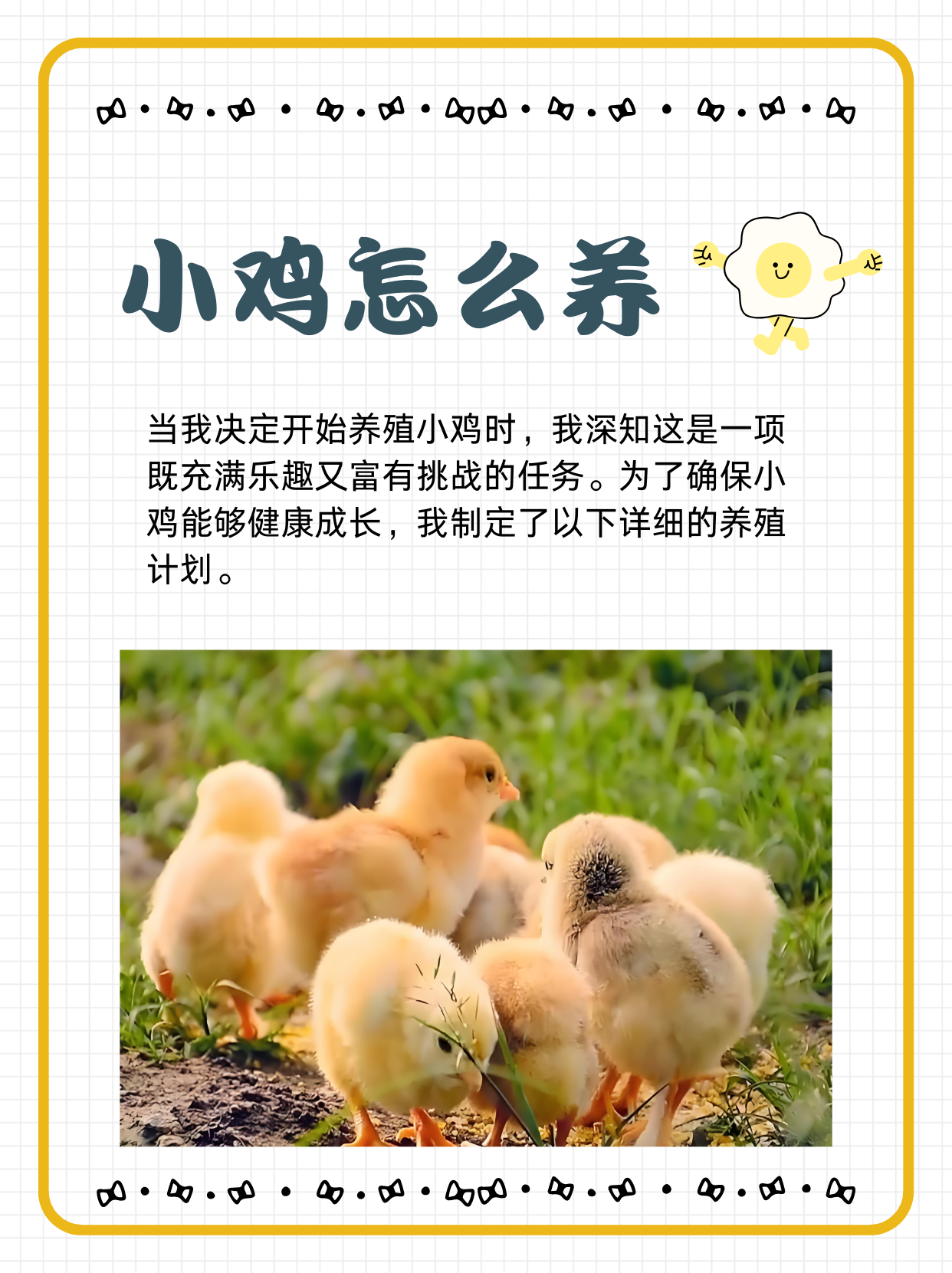 小学体检查小鸡，一次难忘的成长体验-第3张图片