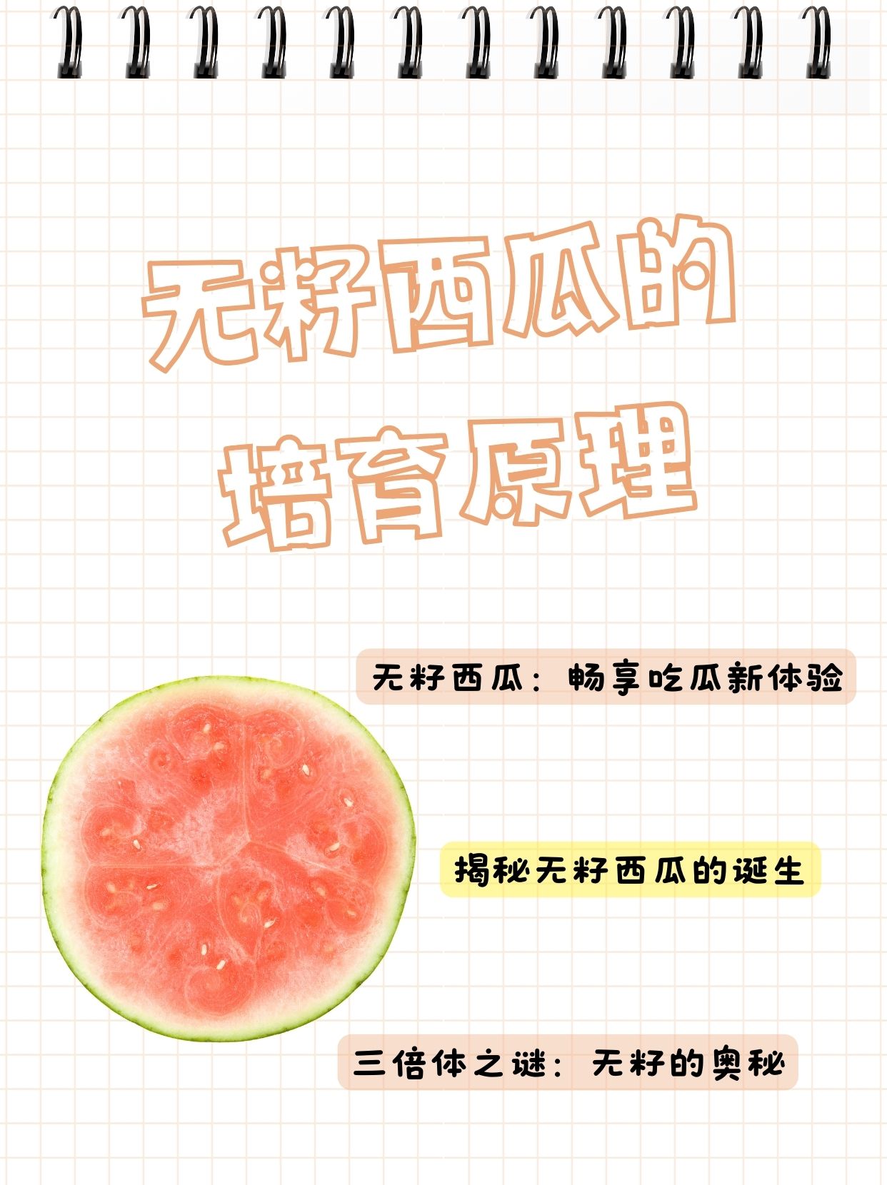 吃瓜网166.su黑料不打烊吃瓜网166.su黑料不打烊，网络娱乐的背后与信息时代的探索-第1张图片
