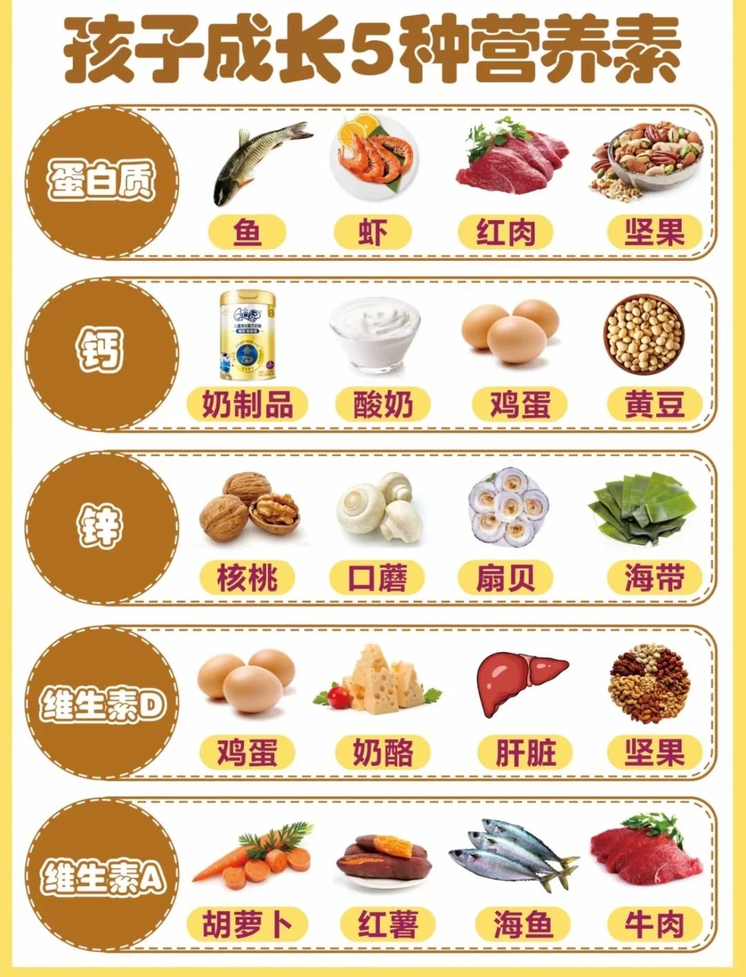 关于六年级学生身体发育的探讨-第2张图片