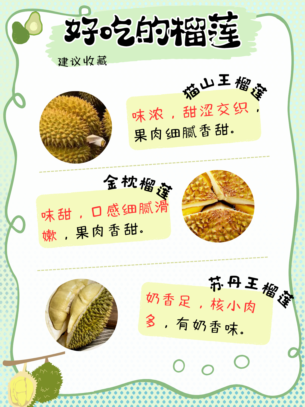 向日葵黄瓜榴莲丝瓜可以一起吃吗向日葵、黄瓜、榴莲与丝瓜的奇妙搭配——美食新体验-第1张图片