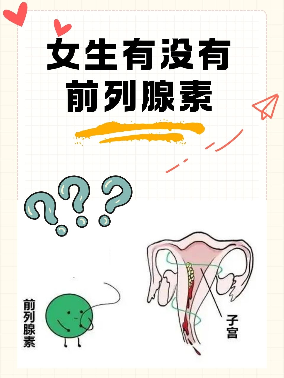 关于女性私密部位图片的探讨与健康知识