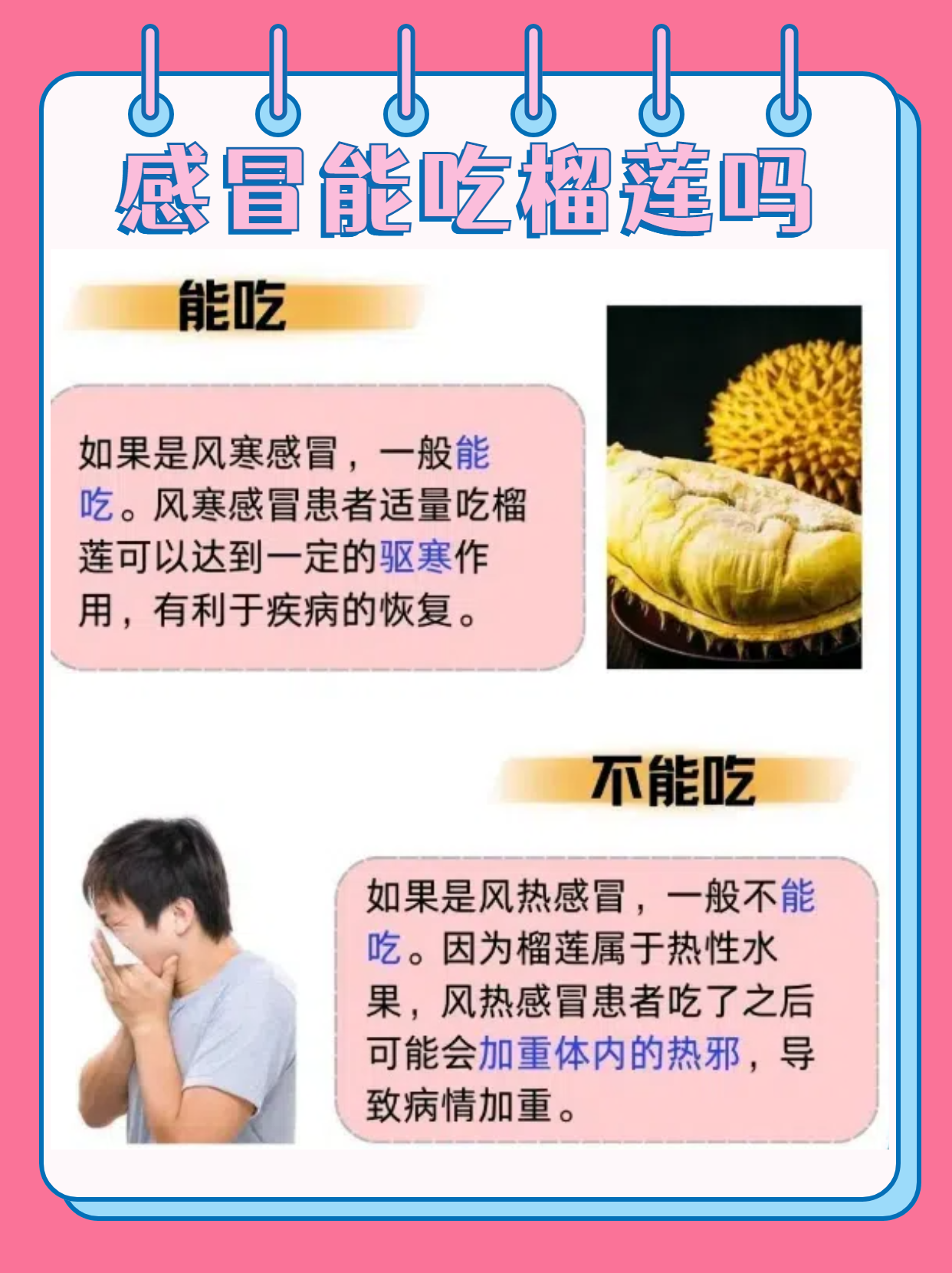 草莓榴莲向日葵丝瓜18岁列表目录站长青春的滋味——草莓、榴莲、向日葵与丝瓜的交响曲-第2张图片