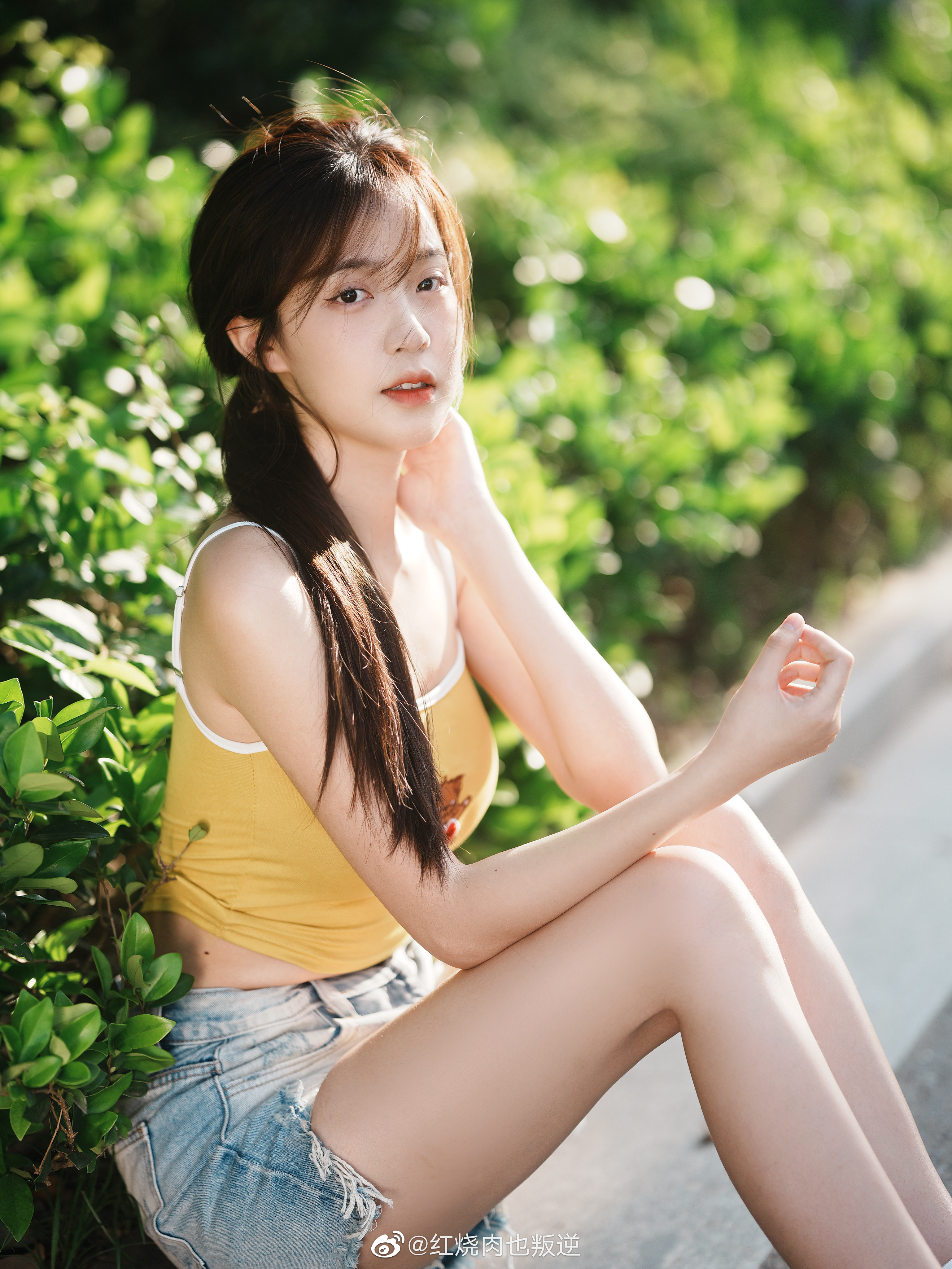 美女视频大全，免费软件的选择与体验