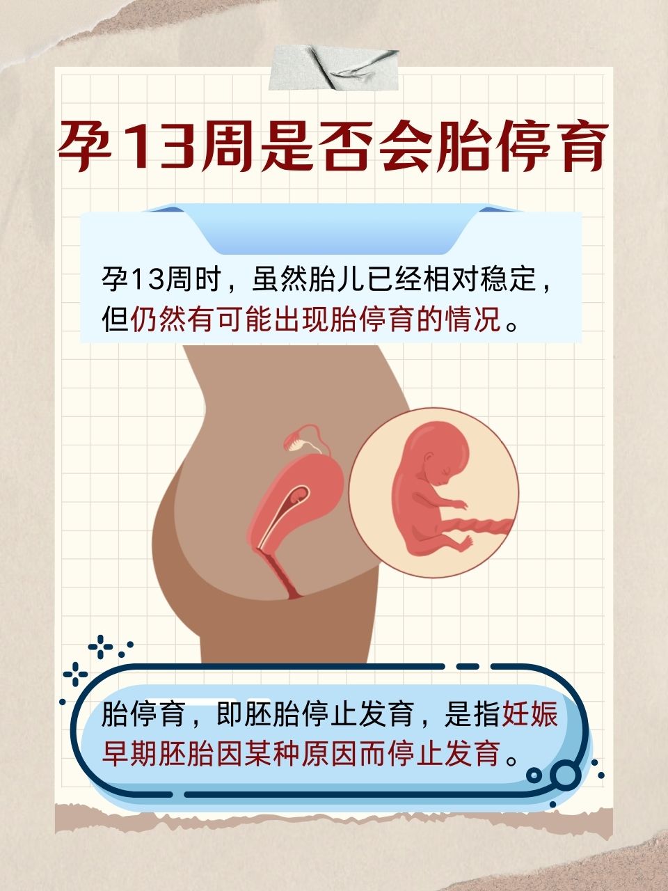 炎の孕ませ发育身体2炎之孕育下的身体发育-第3张图片