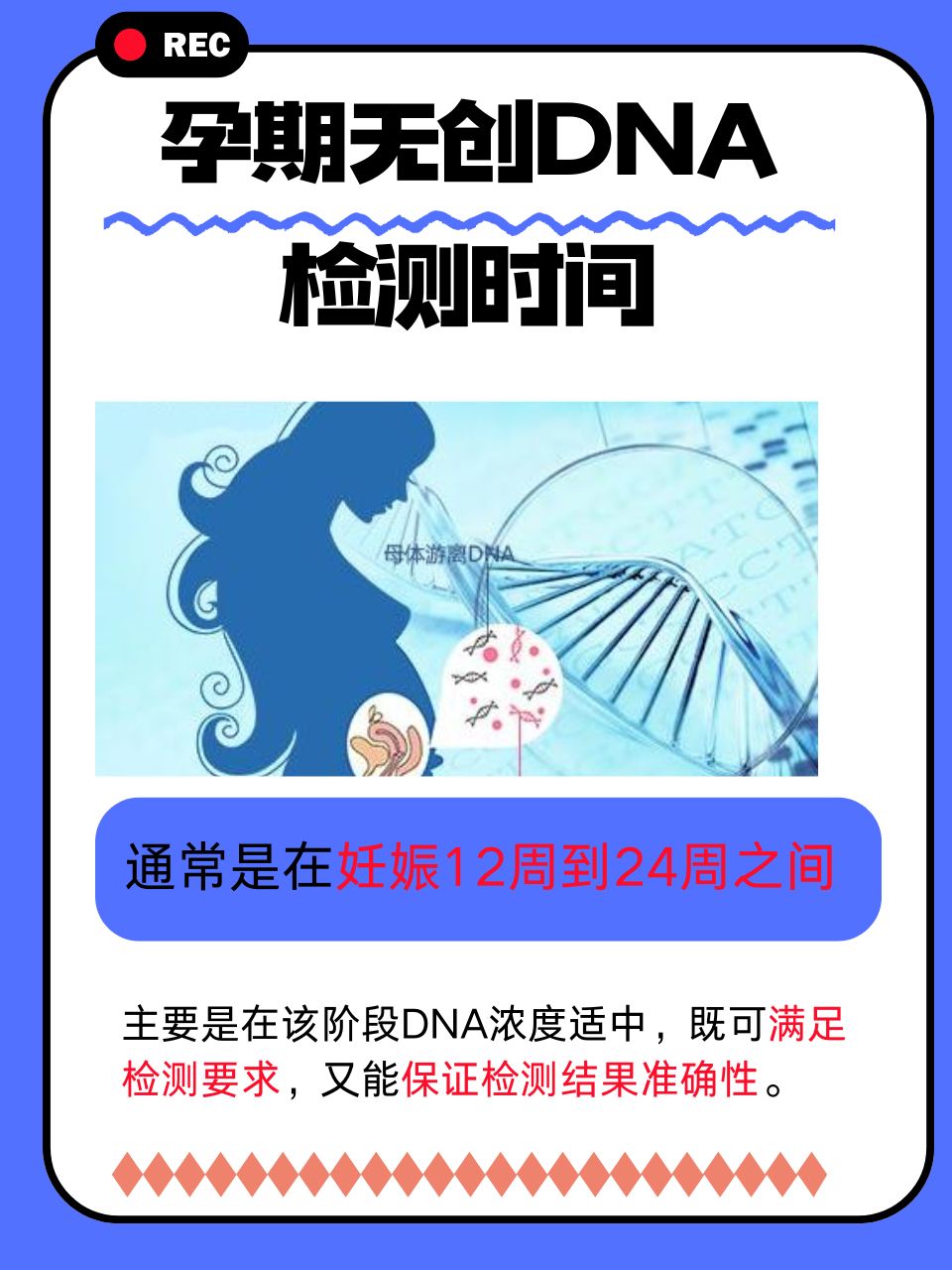 妊娠学院2.5妊娠学院2.5，为母婴健康保驾护航