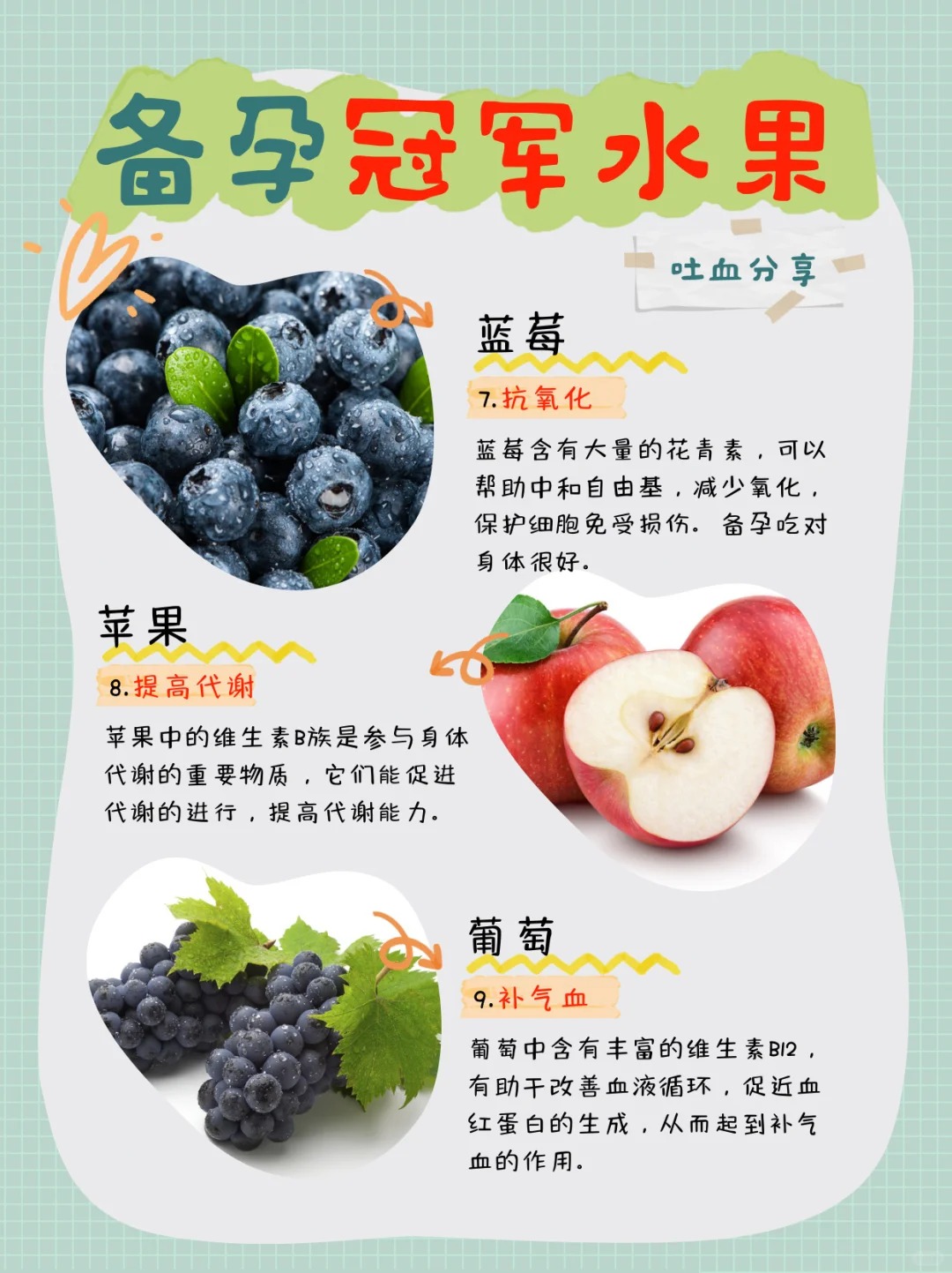 榴莲草莓芒果菠萝香蕉科普热带水果之王——榴莲、草莓、芒果、菠萝与香蕉的科普之旅-第3张图片