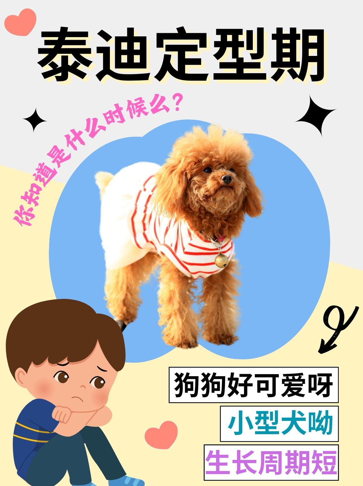 怎么进入狗狗的身体甲探索如何进入狗狗的身体甲-第1张图片