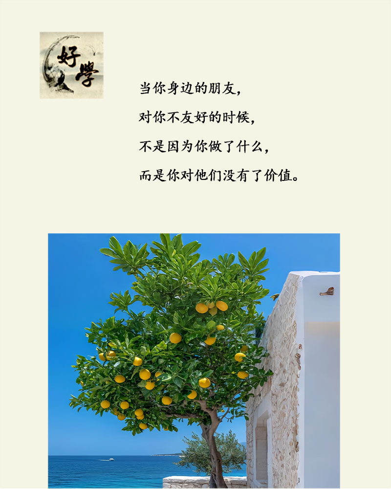 盲憎，内心的光明与坚韧-第2张图片