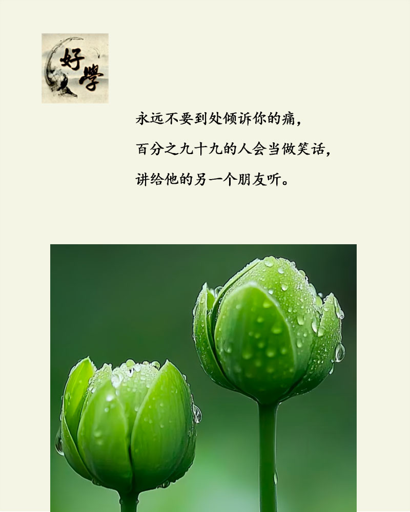 盲憎，内心的光明与坚韧