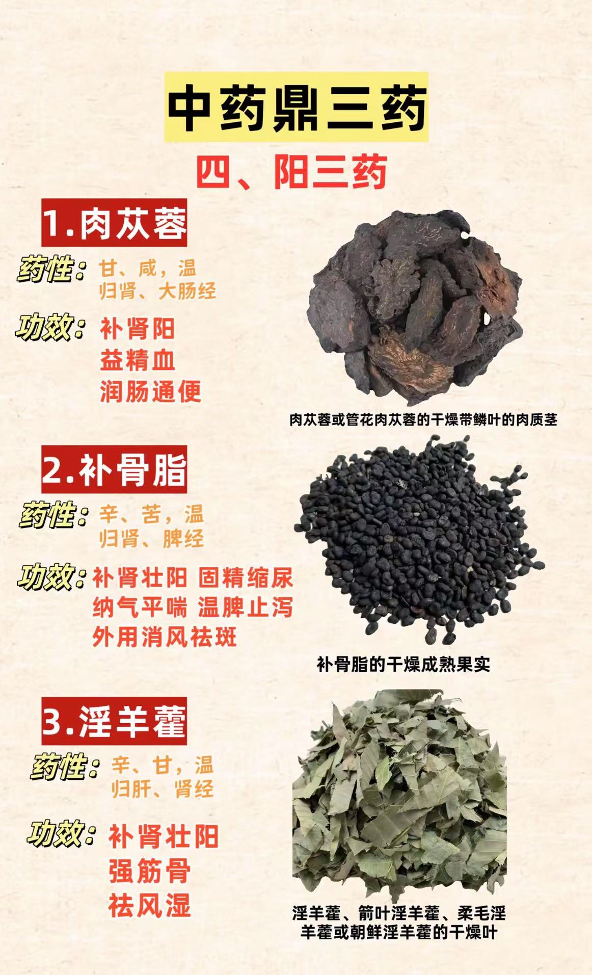 精产国品一二三区别精产国品一二三区别详解