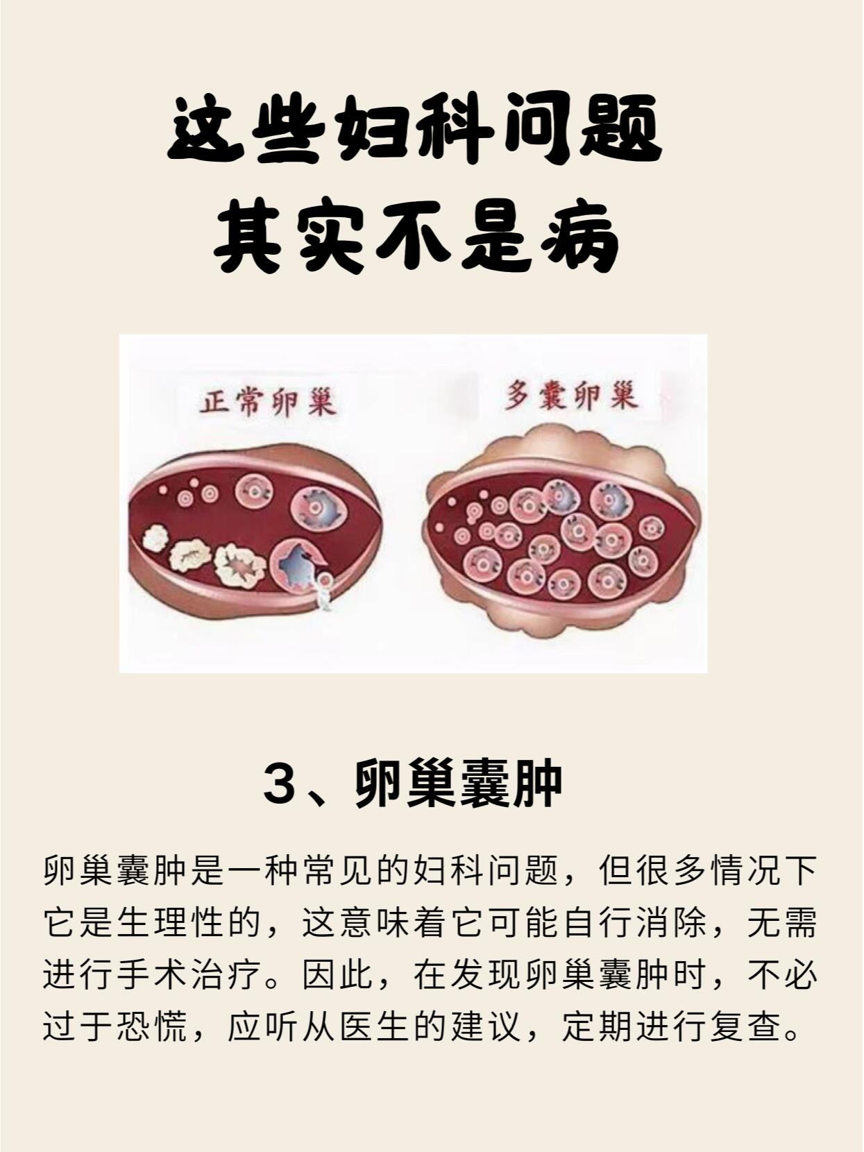 美女与私密话题，深度探讨女性身体与心理健康