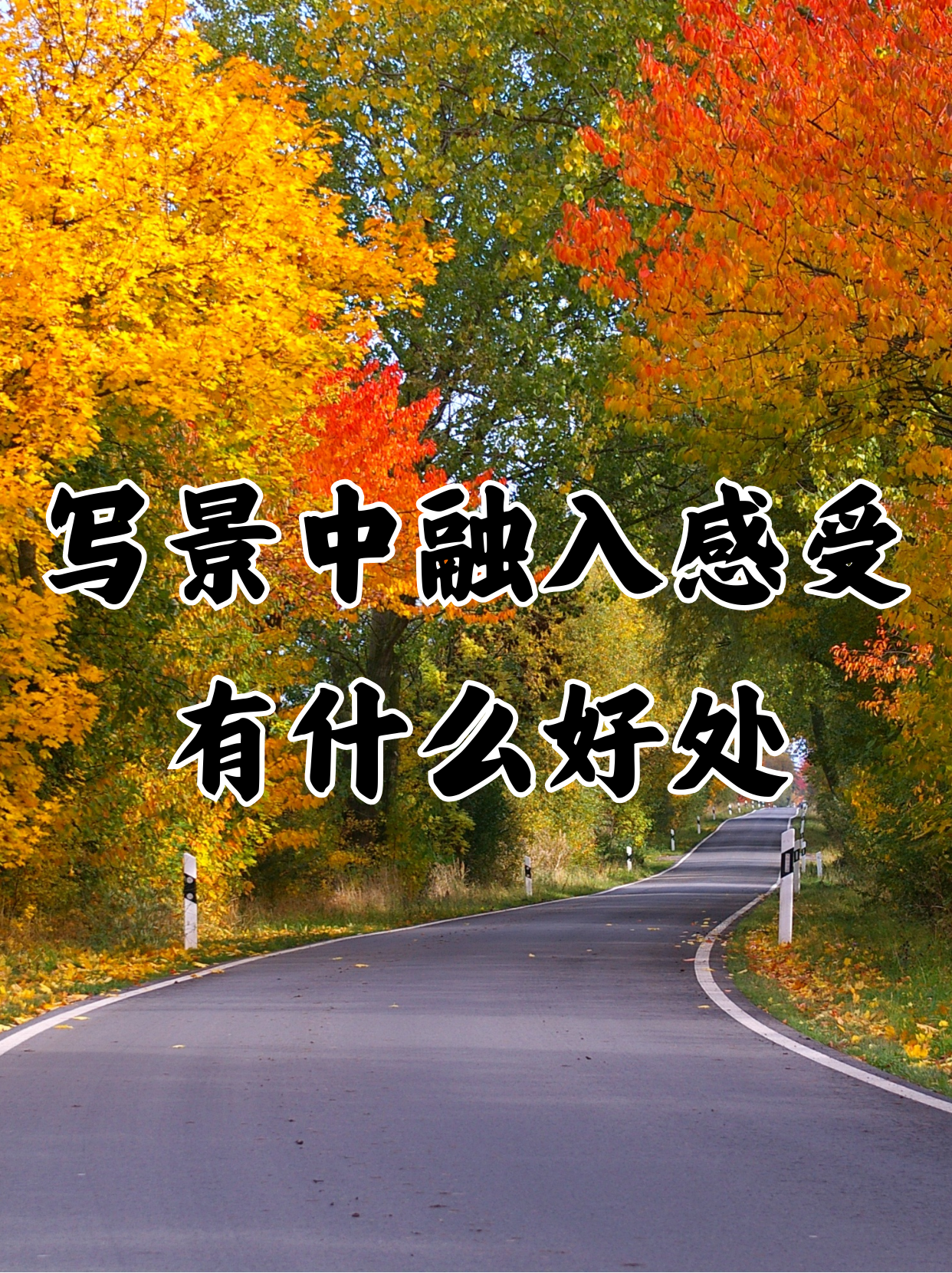 深度体验，感受我的独特尺寸