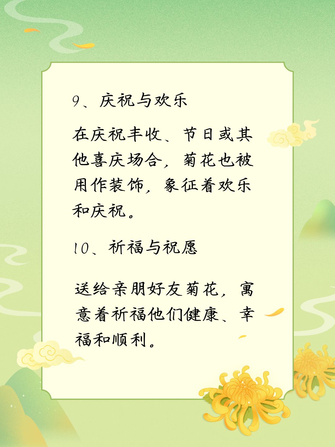 探究后面菊花开过与未开过的区别-第2张图片