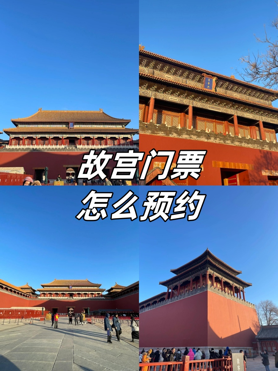 网络订票几点开始售票网络订票开启时间全解析