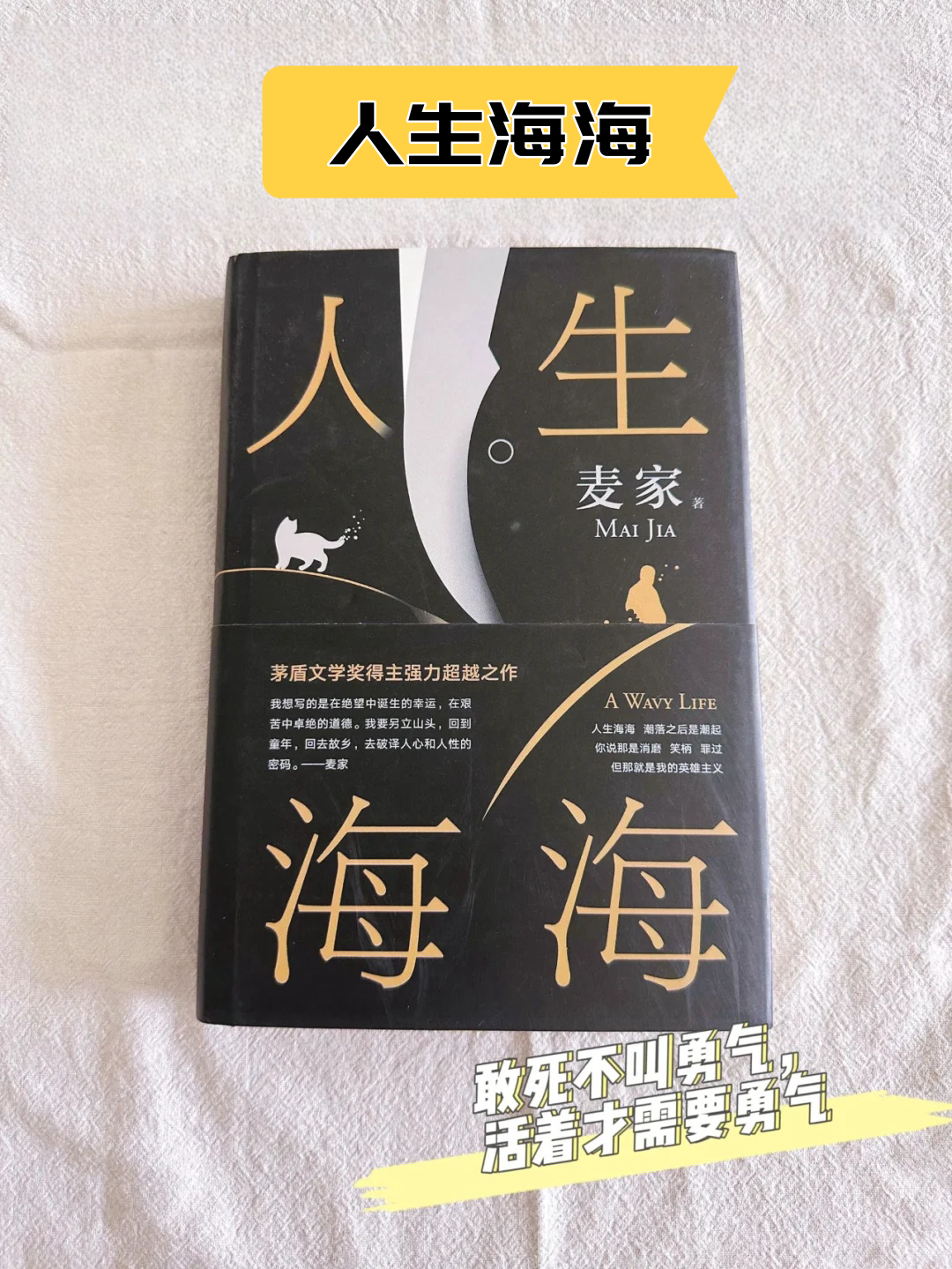 当书网手机版，便捷的txt小说下载体验