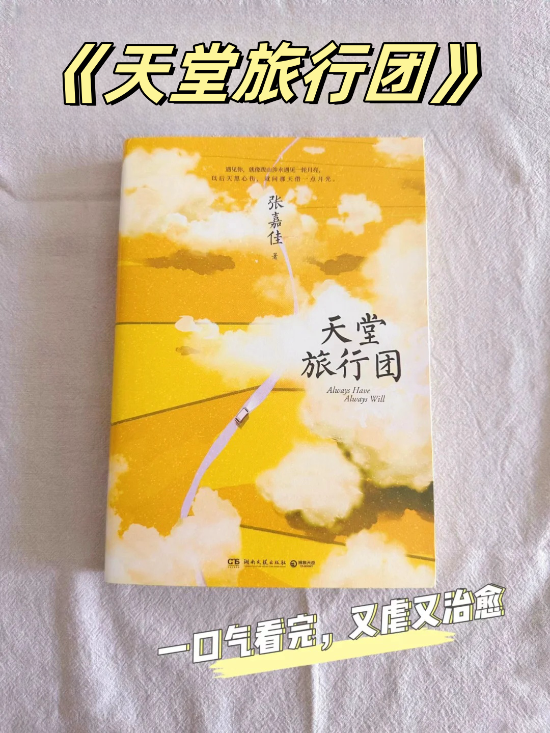 当书网手机版，便捷的txt小说下载体验-第2张图片