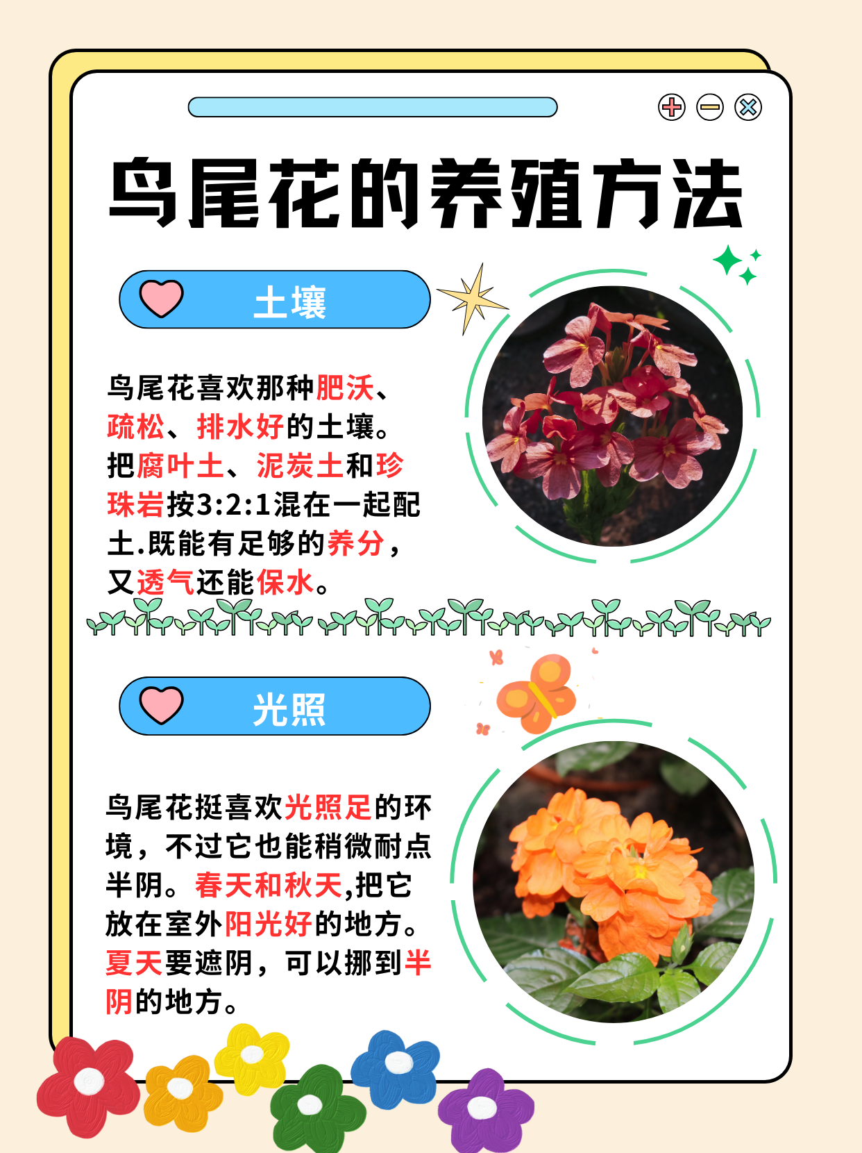 动物餐厅花圃动物餐厅花圃的魅力与故事-第3张图片