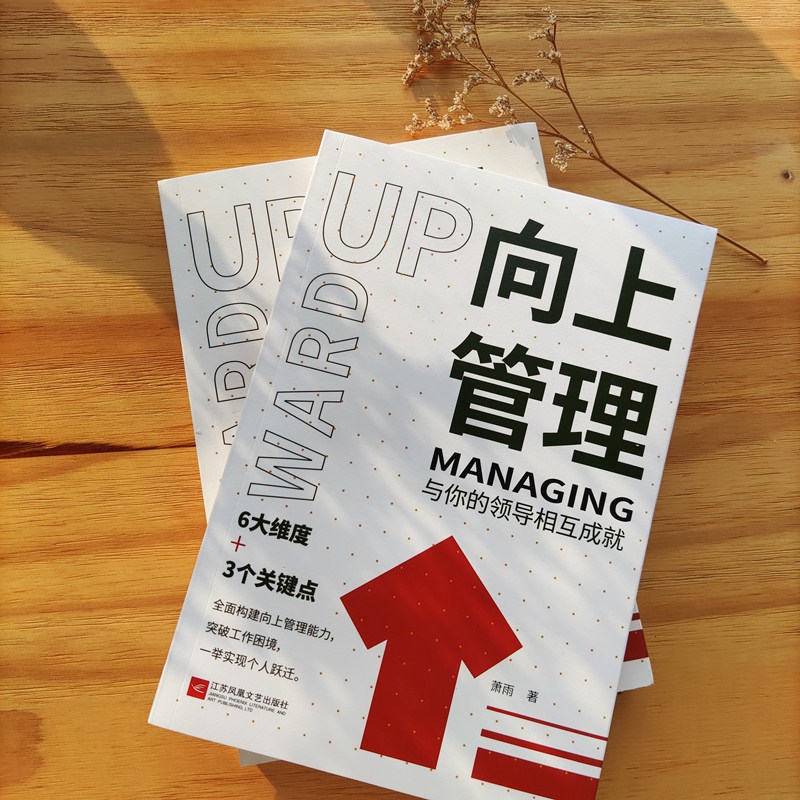和老板在办公室BD办公室中的深度对话，我与老板的BD之旅-第2张图片