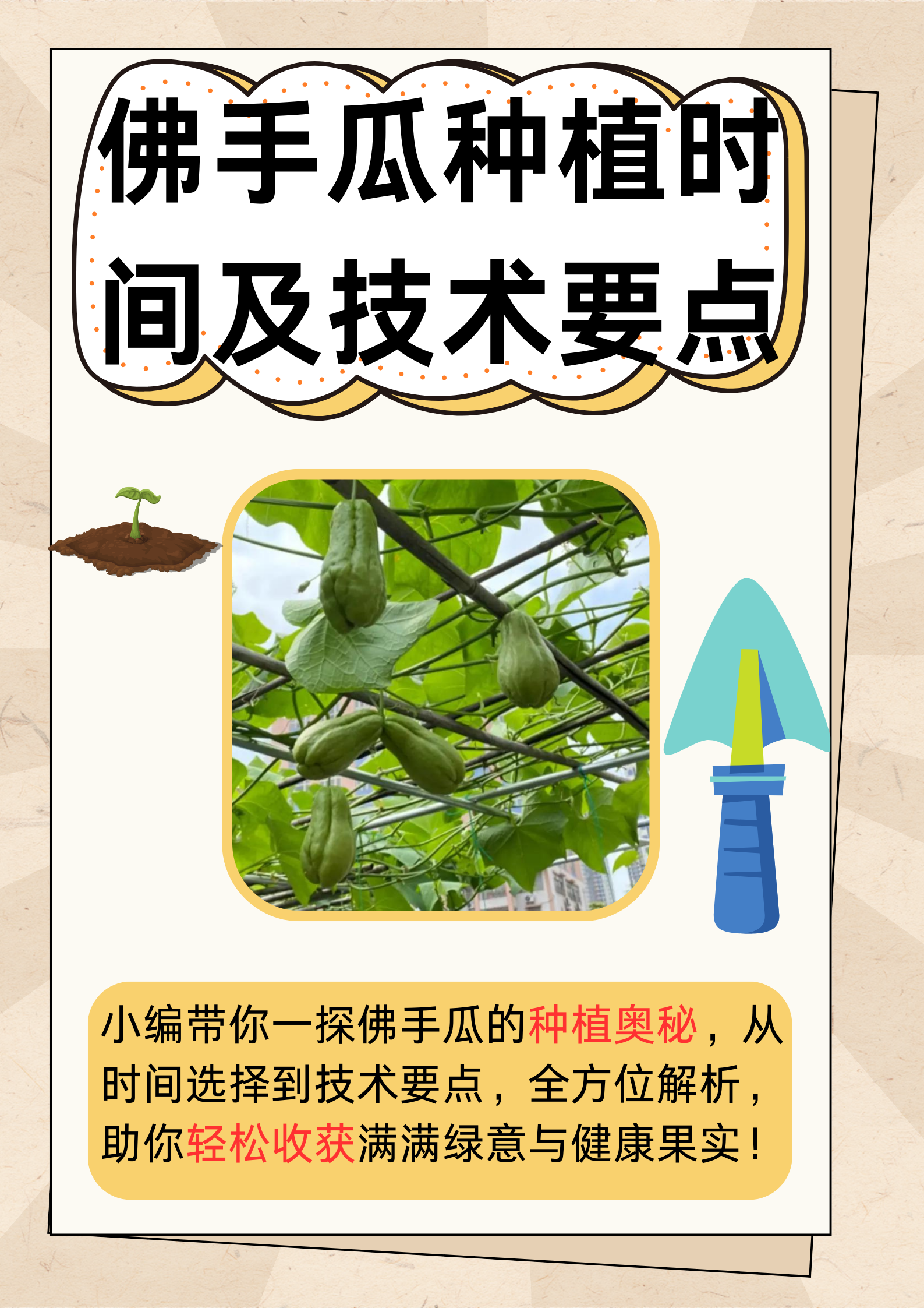 探索久热的奥秘，深入解析这里的精品99re8