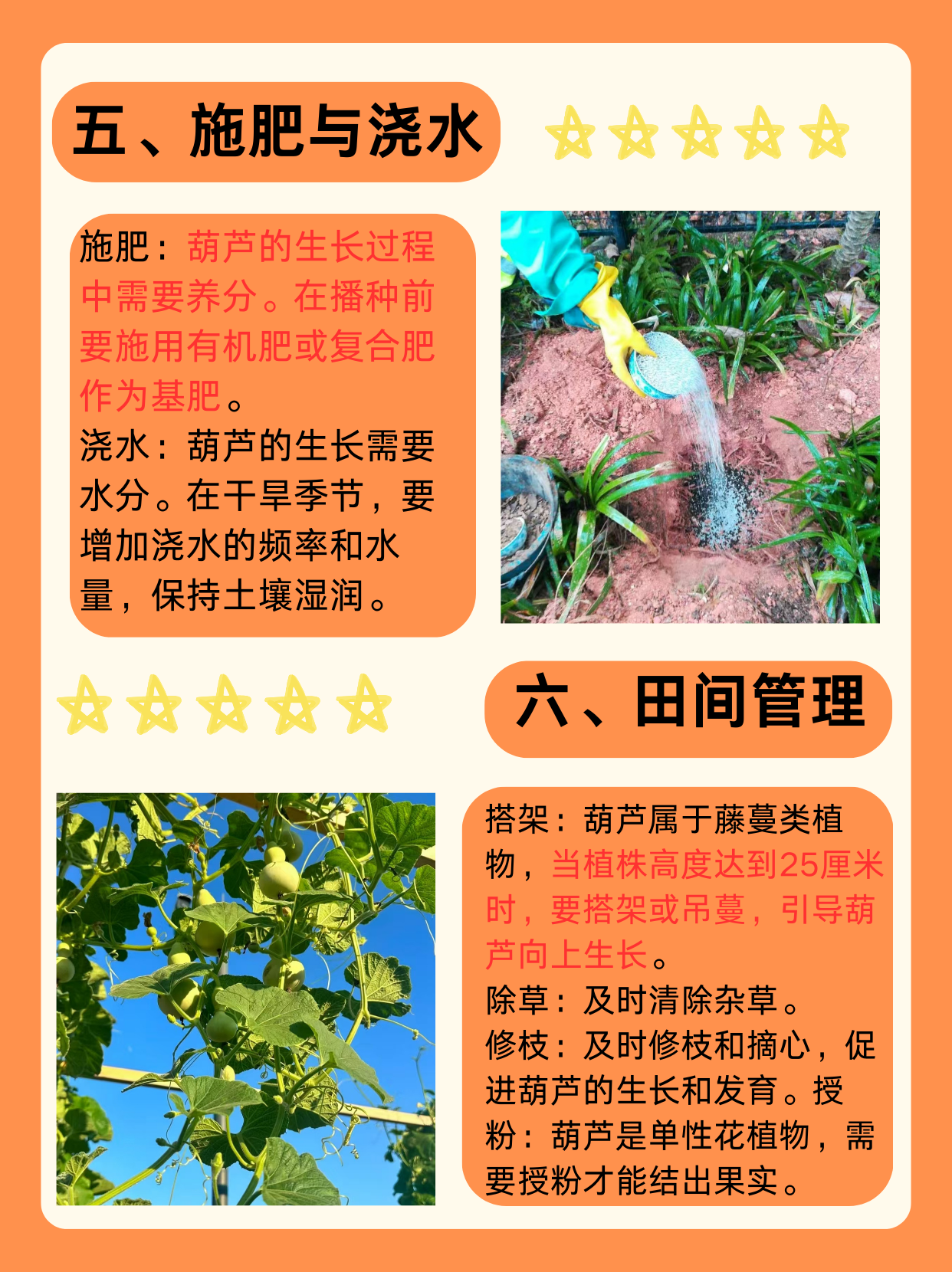 探索HLW32life中的葫芦文化-第2张图片