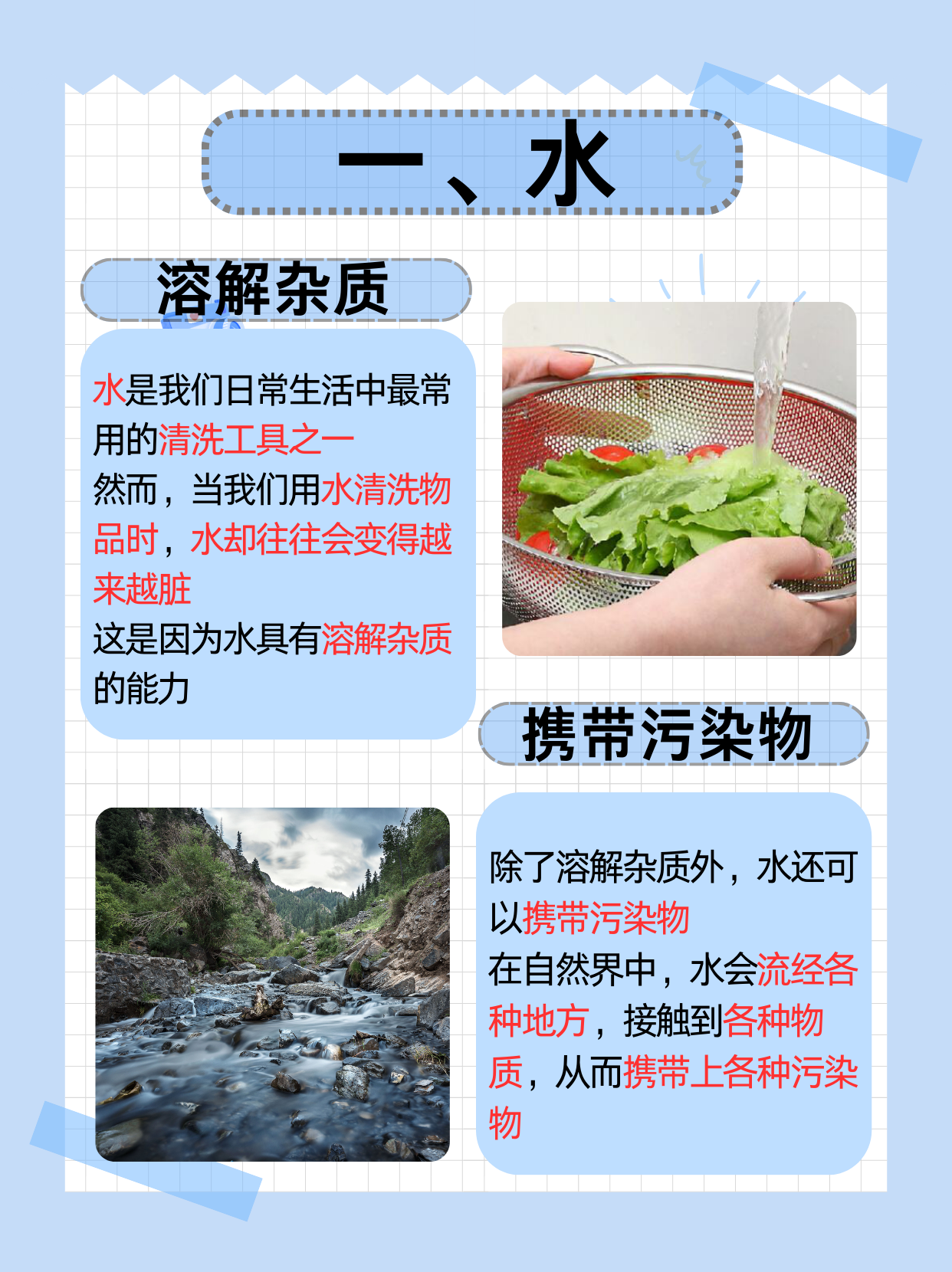 探索神秘而独特的文化现象——selangwang-第1张图片