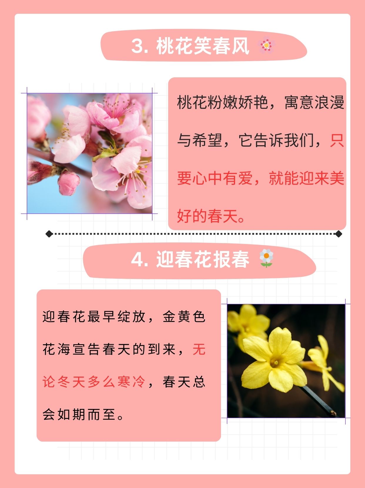 樱田樱，春日里的樱花之歌-第2张图片