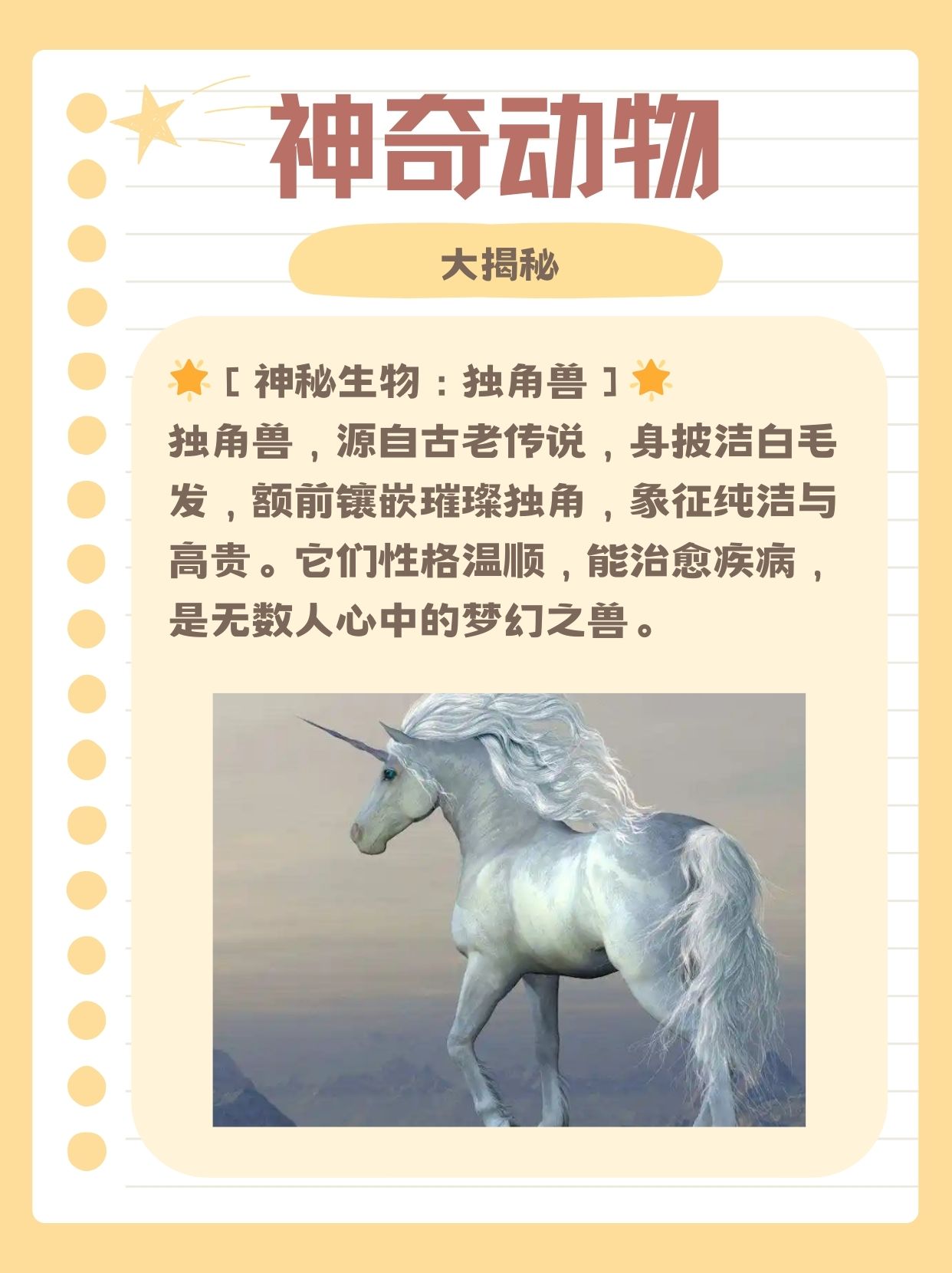 诺森德灵魂兽，神秘而独特的生物
