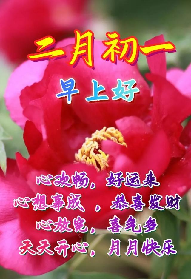 春暖花论坛公告区春暖花论坛公告区——春日盛景，花开论坛