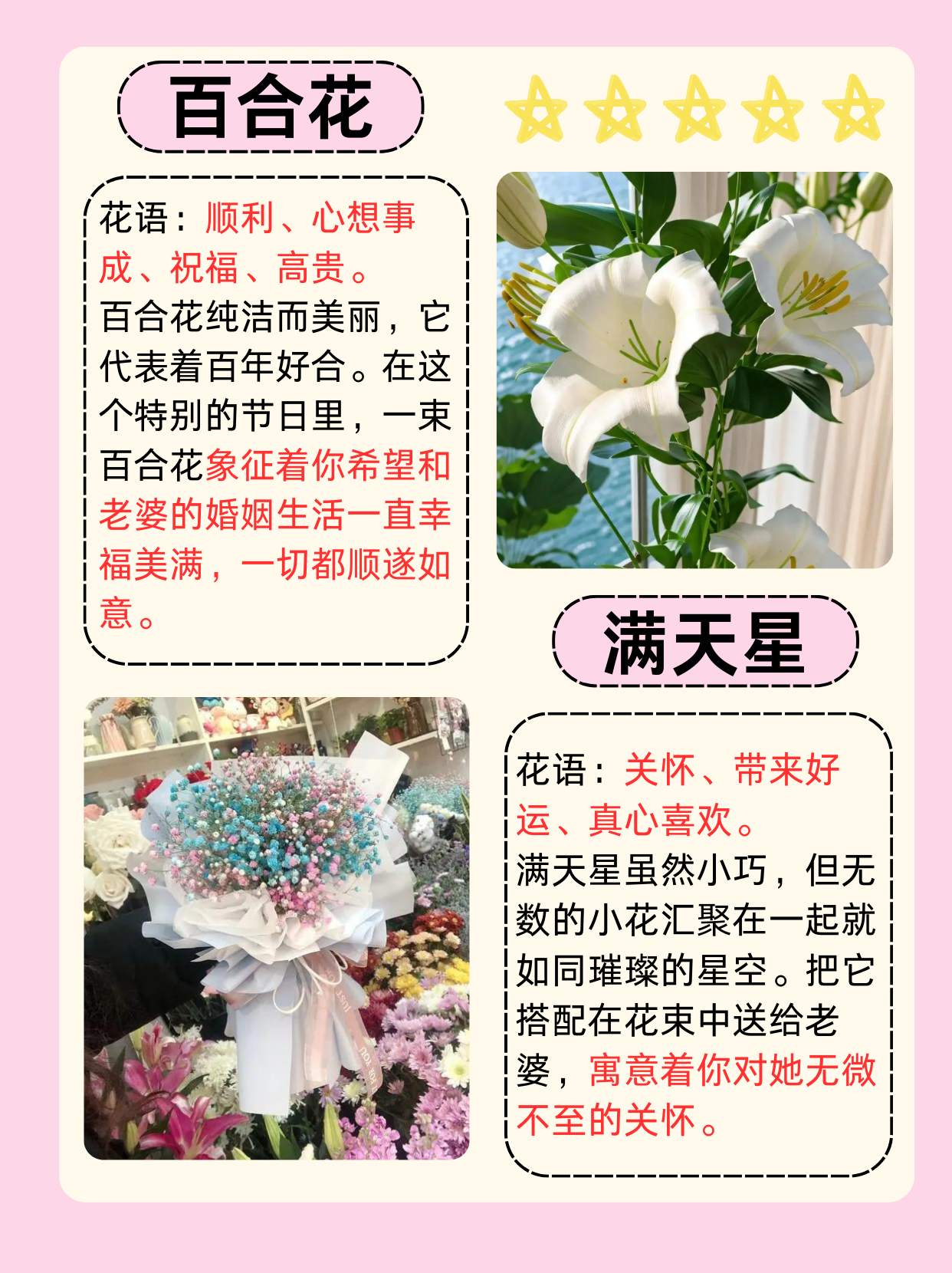 岳的毛太浓——探索独特魅力背后的故事