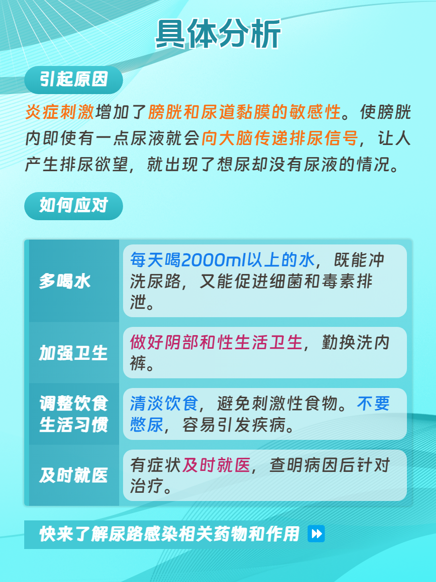 每天肚子里都是主人的尿肉主人的尿肉之谜，深入探究一个不寻常的体验-第3张图片
