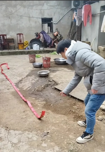 探索免费观看暖心视频的乐趣-第1张图片