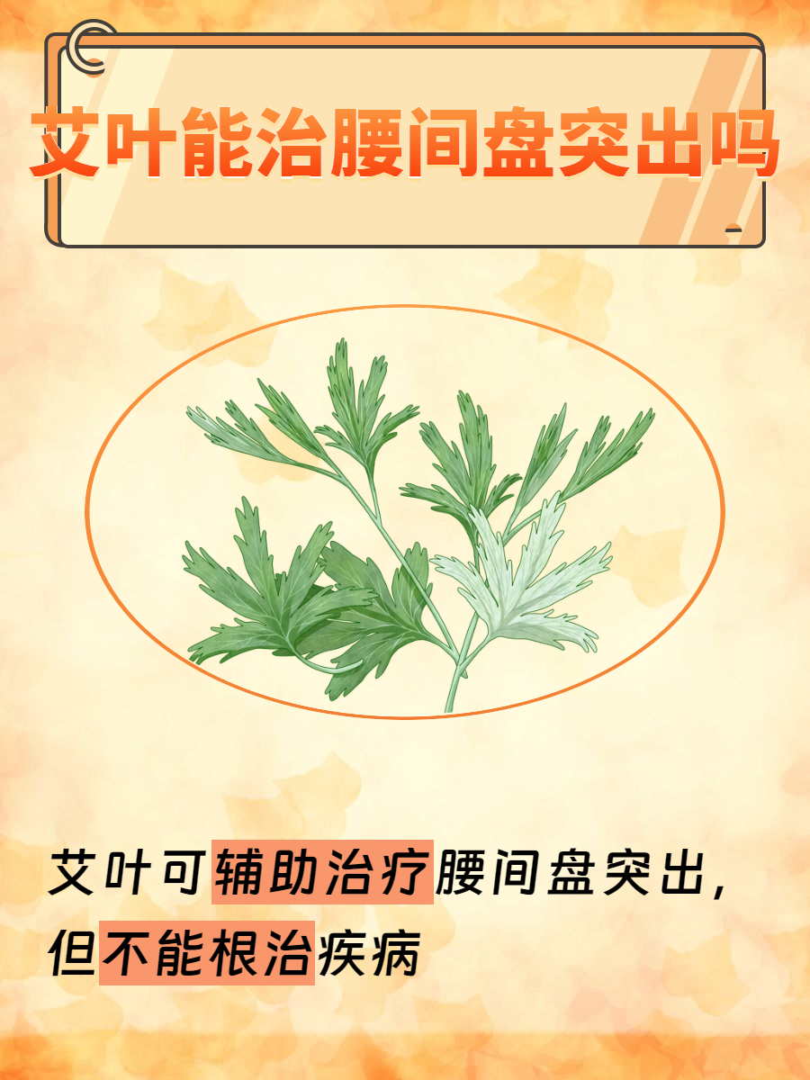 把腰抬一下不然我没法动调整姿势，行动之始——把腰抬一下不然我没法动的深层解读