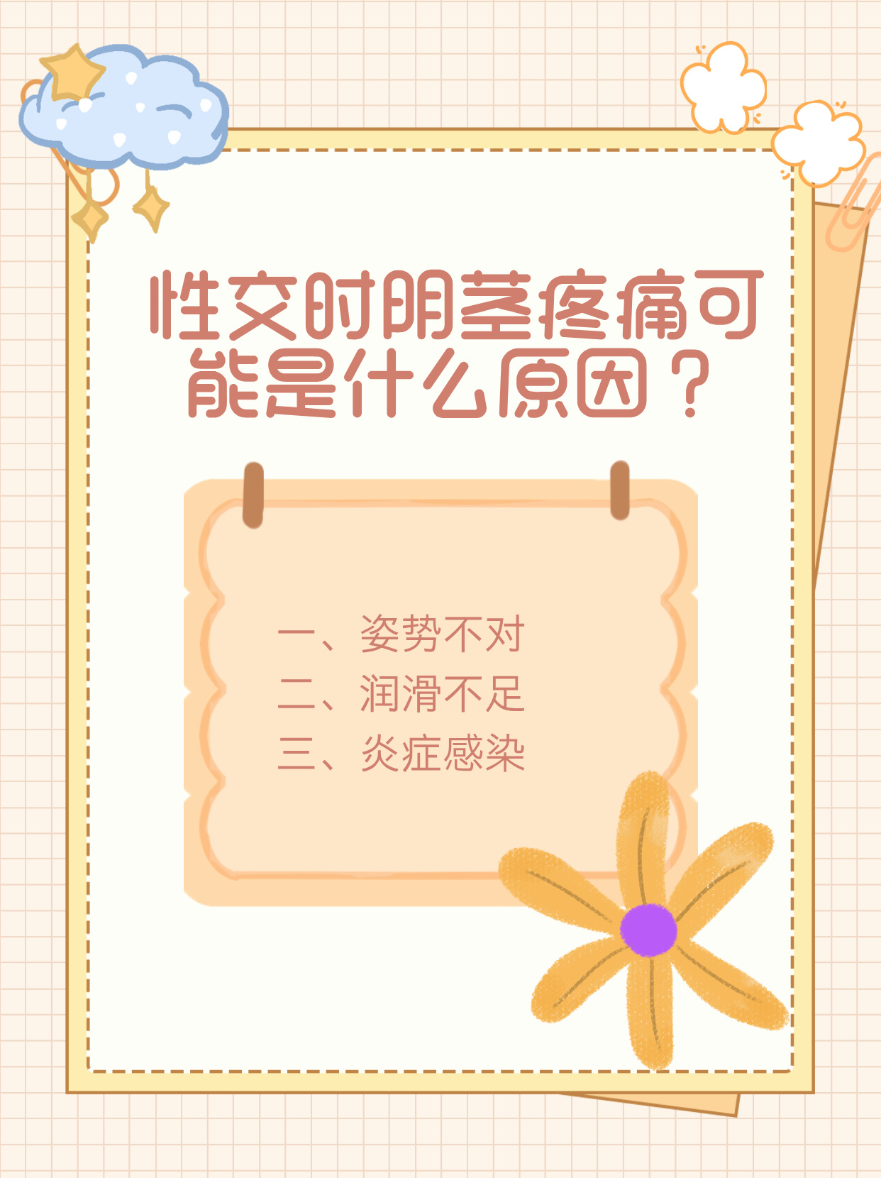 男阳茎与女阳道，生理结构与性爱体验-第3张图片