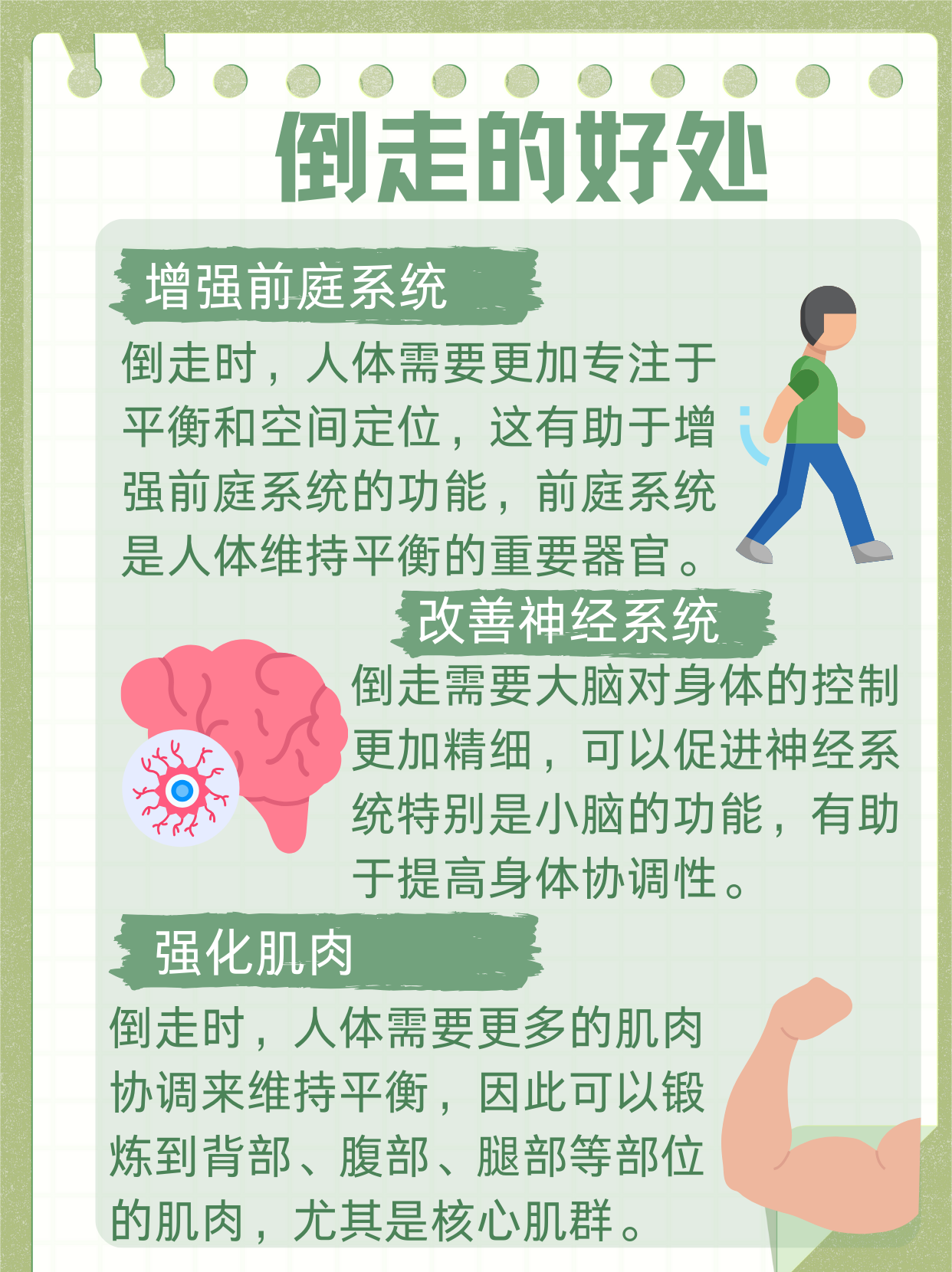 健身教练的秘密，揭秘你的肌肉为何如此发达