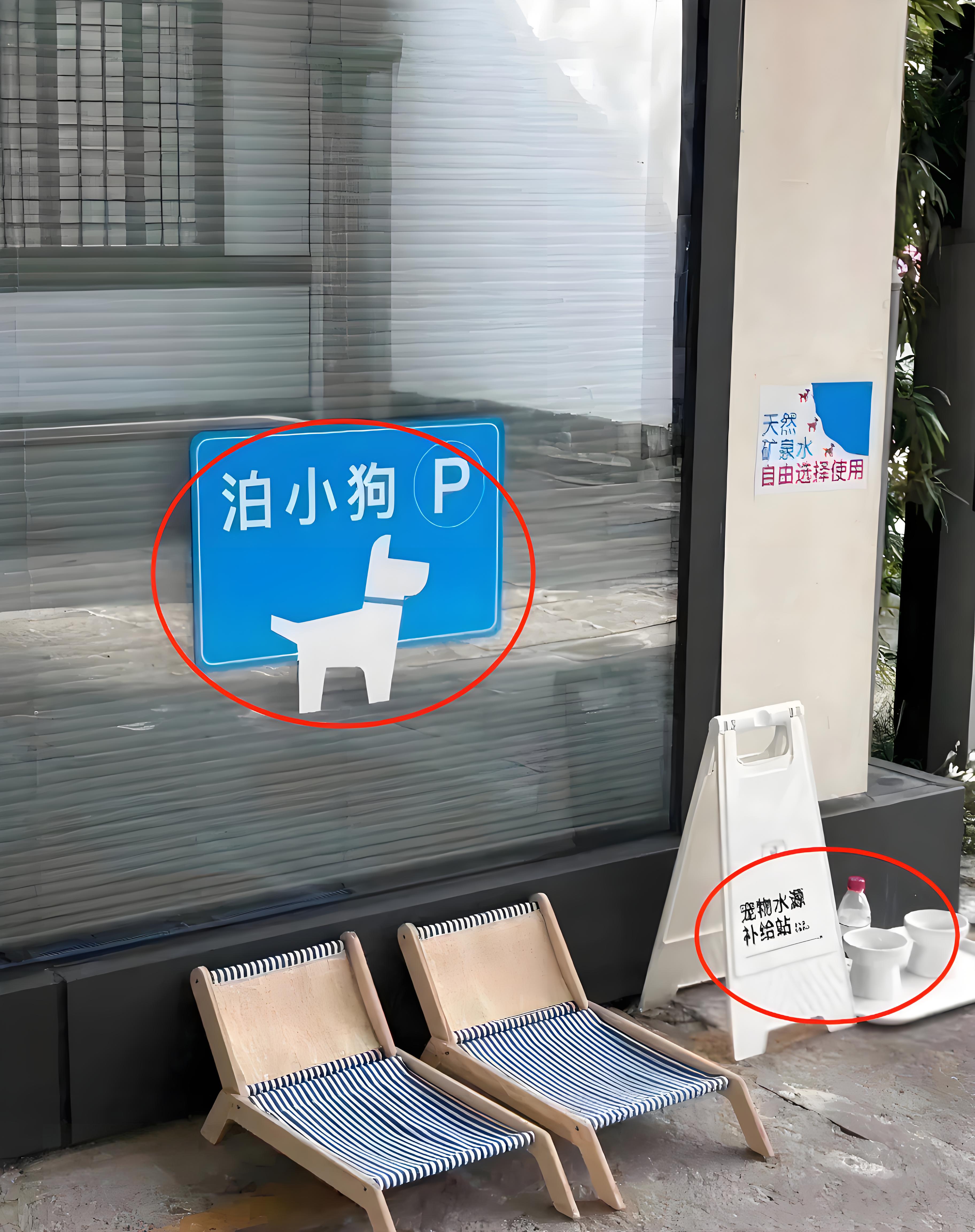 狗狗的大东西在人眼中的奇妙体验-第2张图片