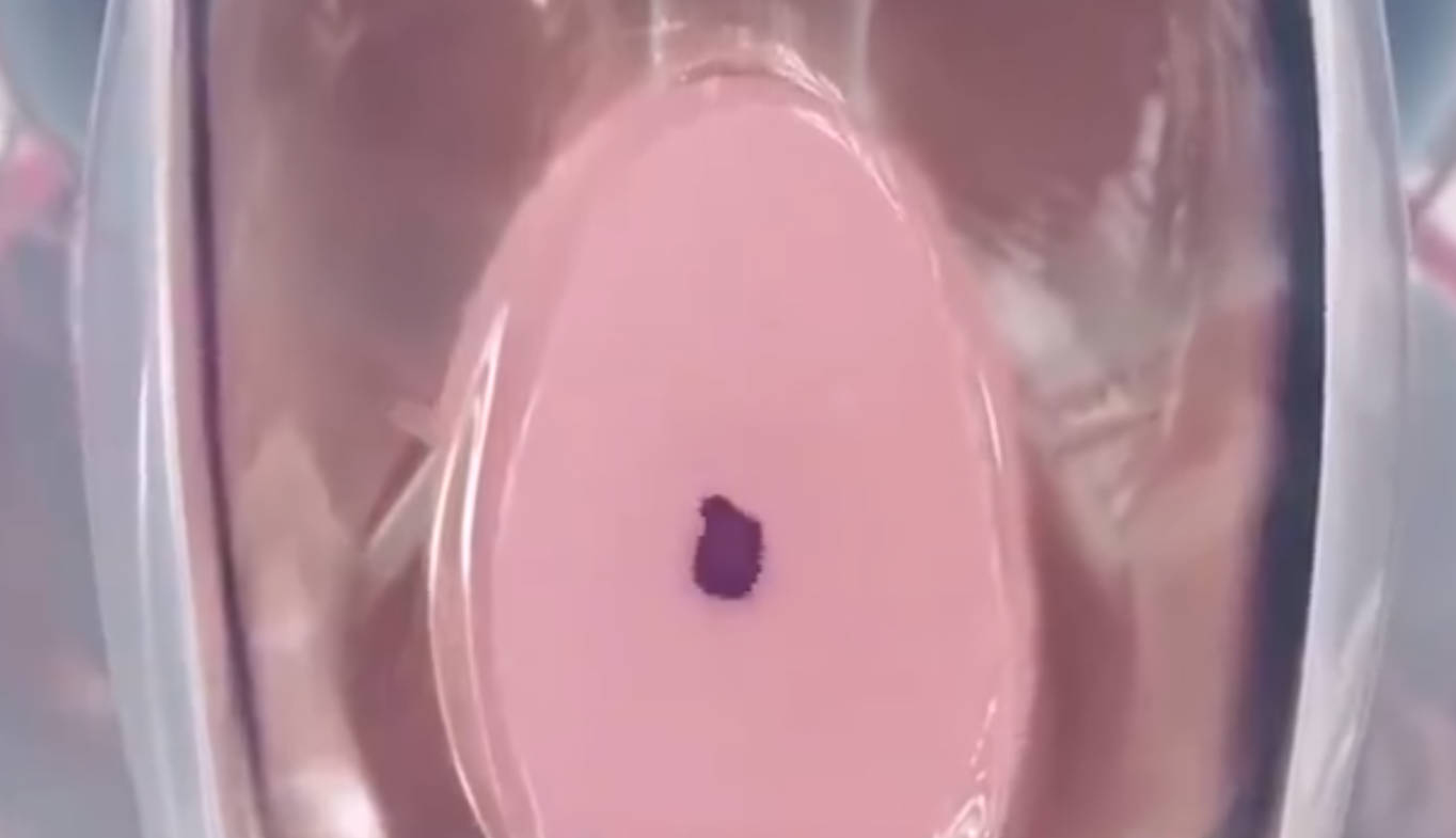 关于处女奸淫劫的深度探讨