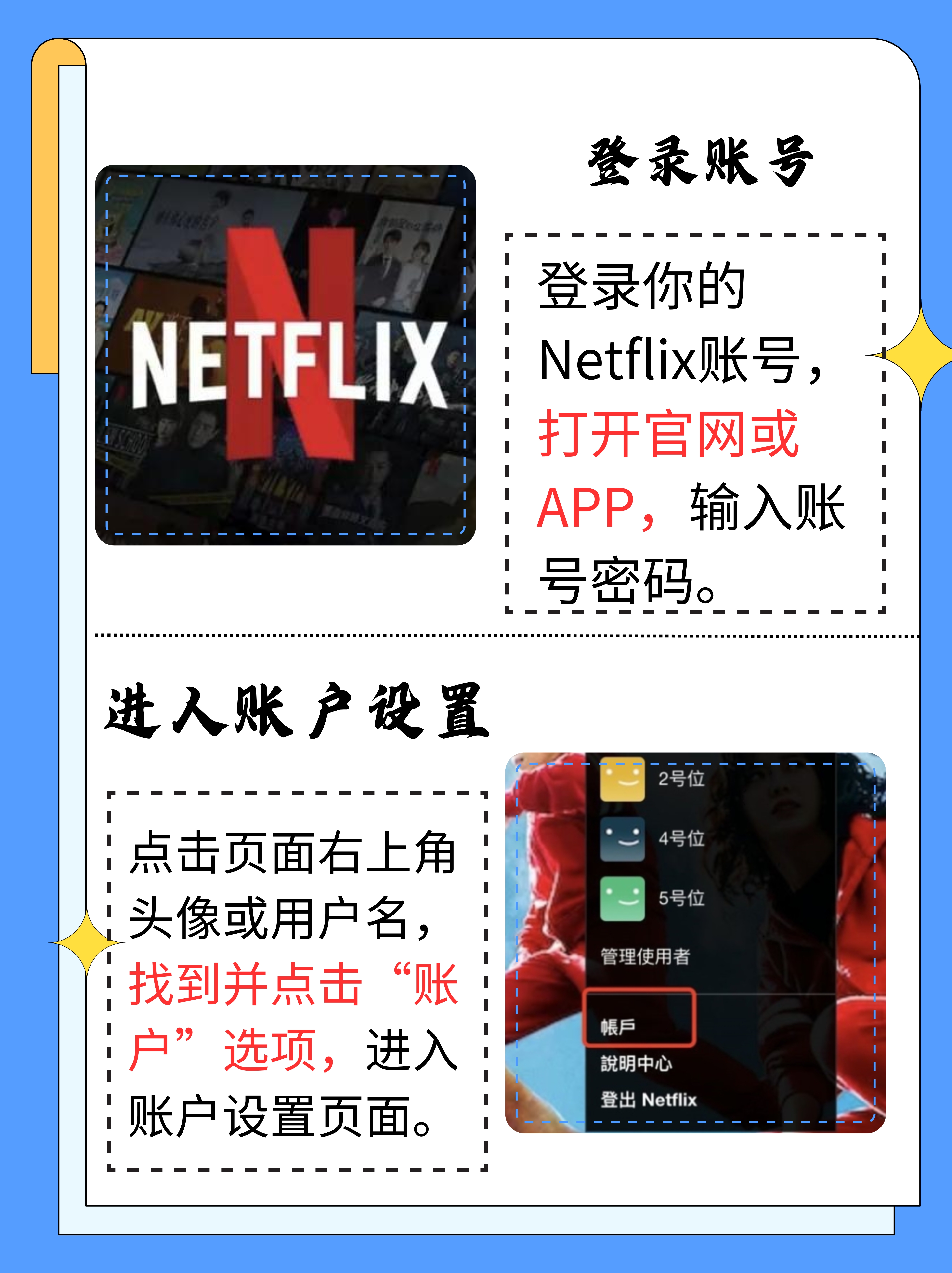 猫网飞探索猫的奇妙世界——猫网之探索