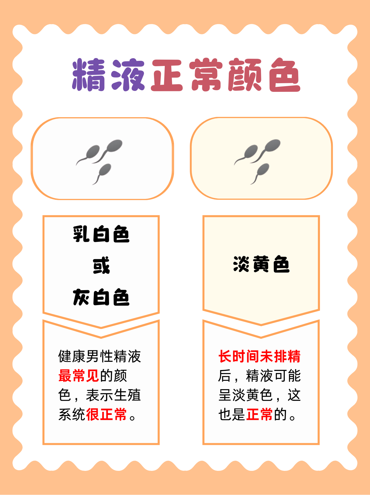 探索91蝌蚪与prony的奥秘-第3张图片