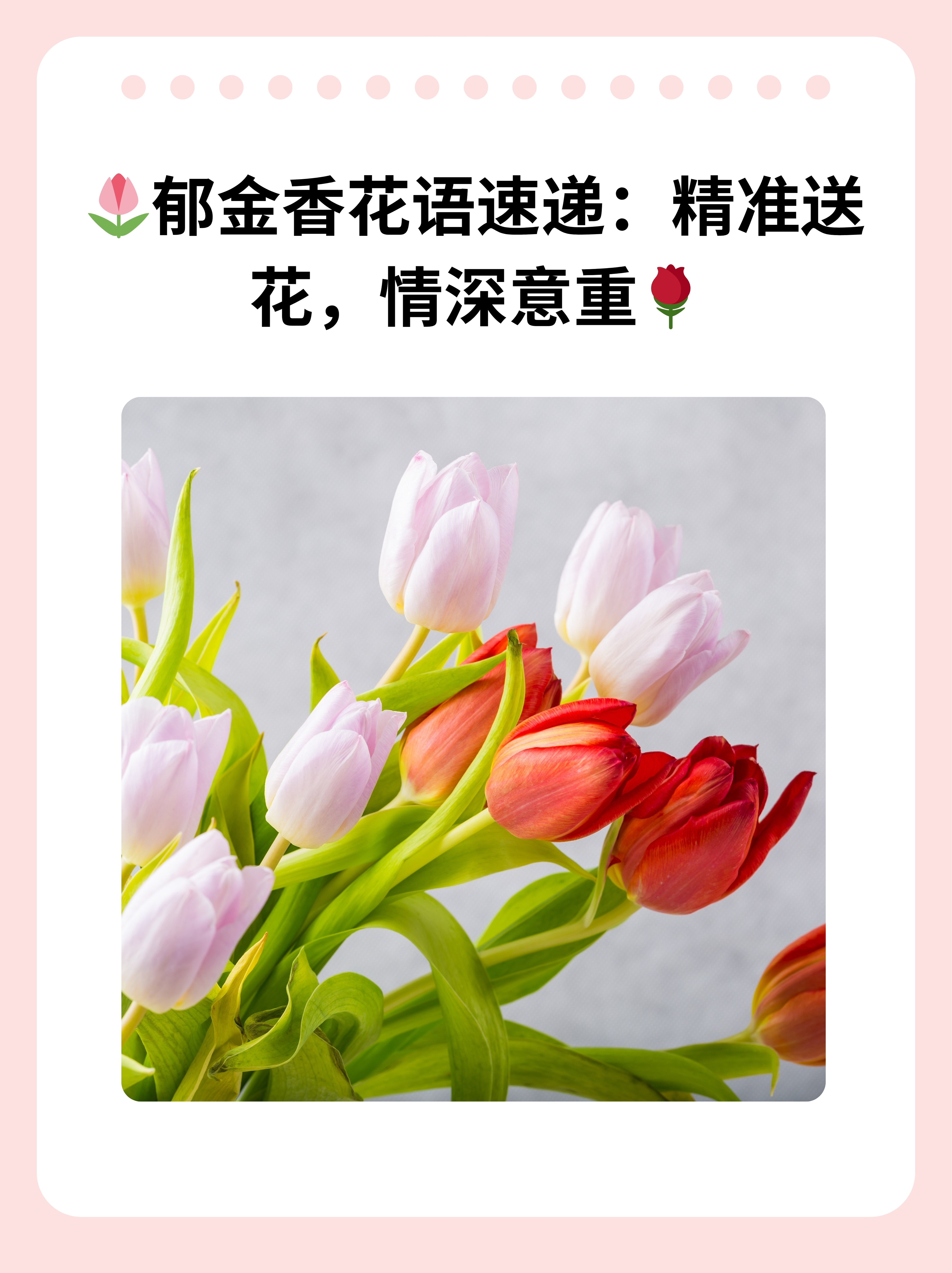 色佳网——网络色彩的绝佳选择-第2张图片