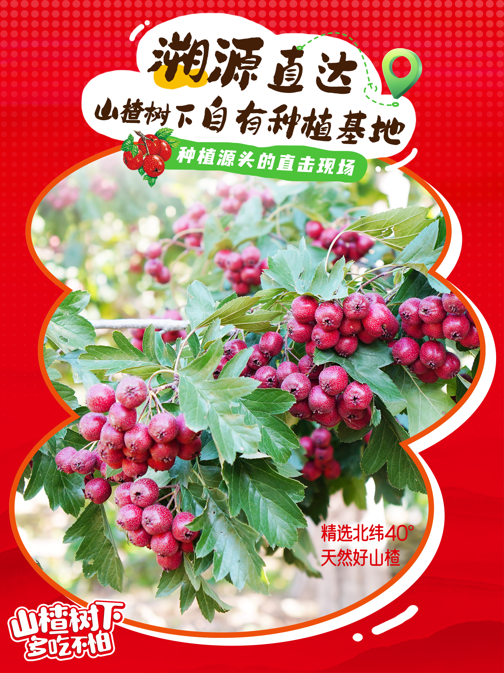 那对饱满的山峰电影免费播放那对饱满的山峰——自然之美与女性魅力