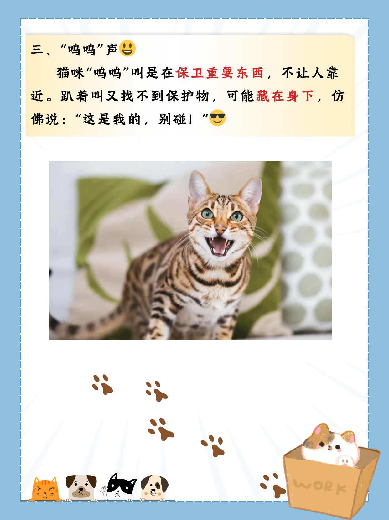 试看60秒视频非会员5试看60秒，非会员也能享受的独特体验-第2张图片