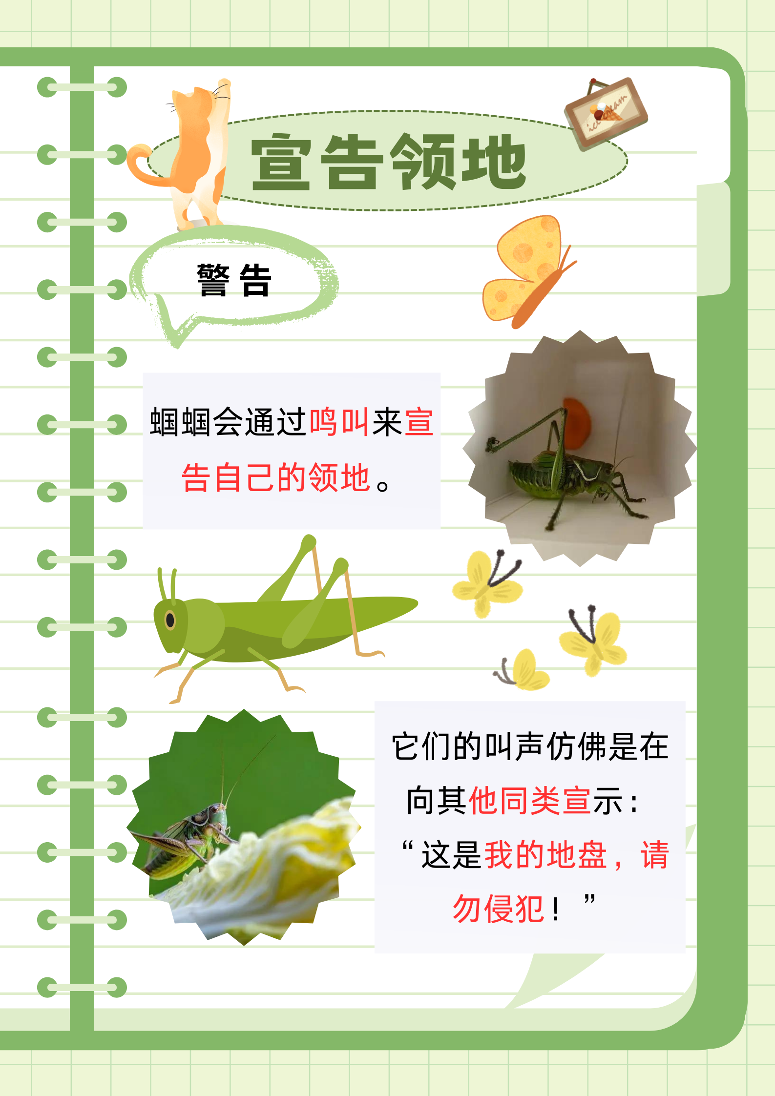 探索上面一个日下面两个的奥秘-第3张图片
