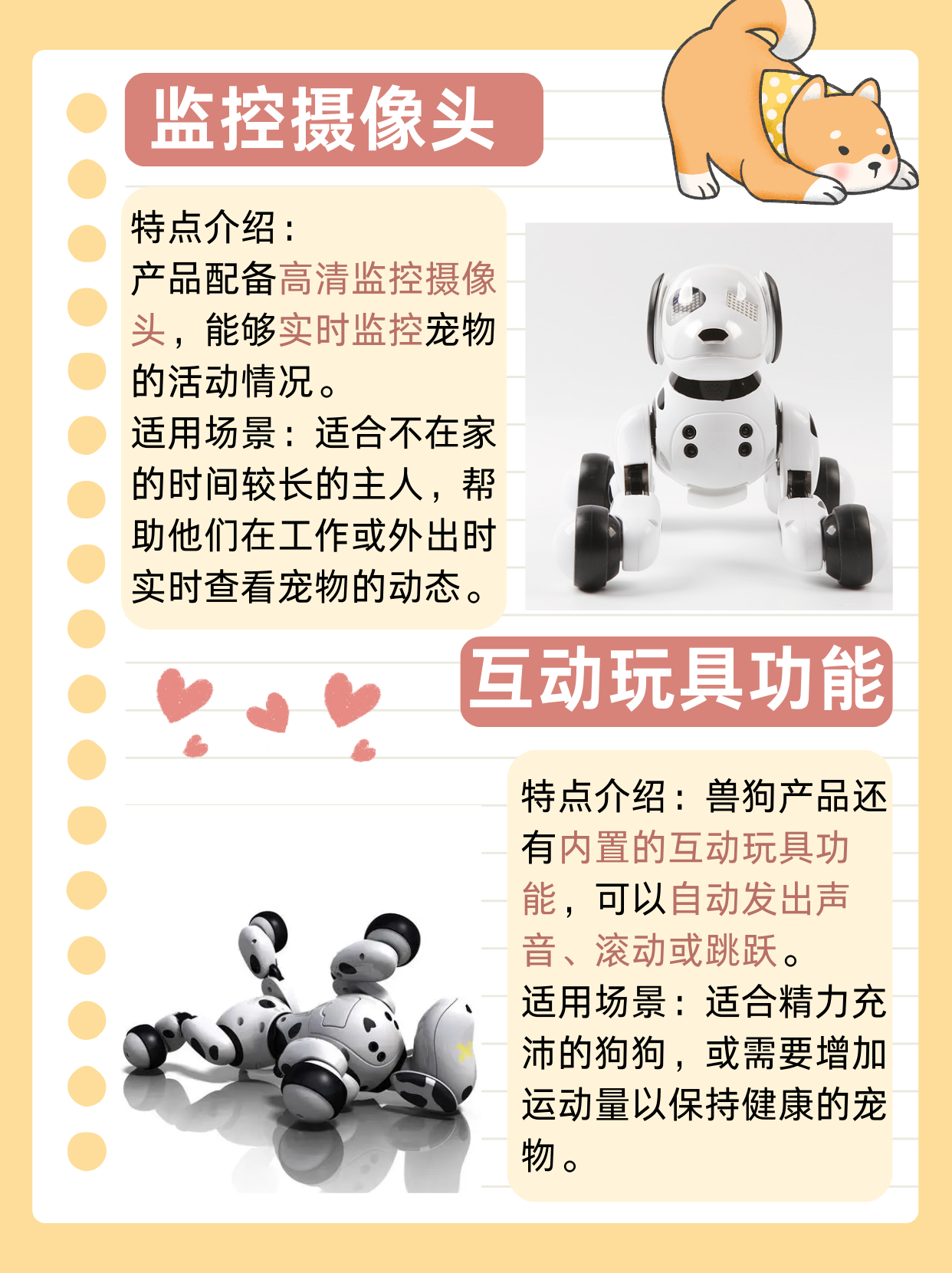 最新ZOOM与OKZOOM在线视频，重塑远程沟通与协作的未来-第1张图片