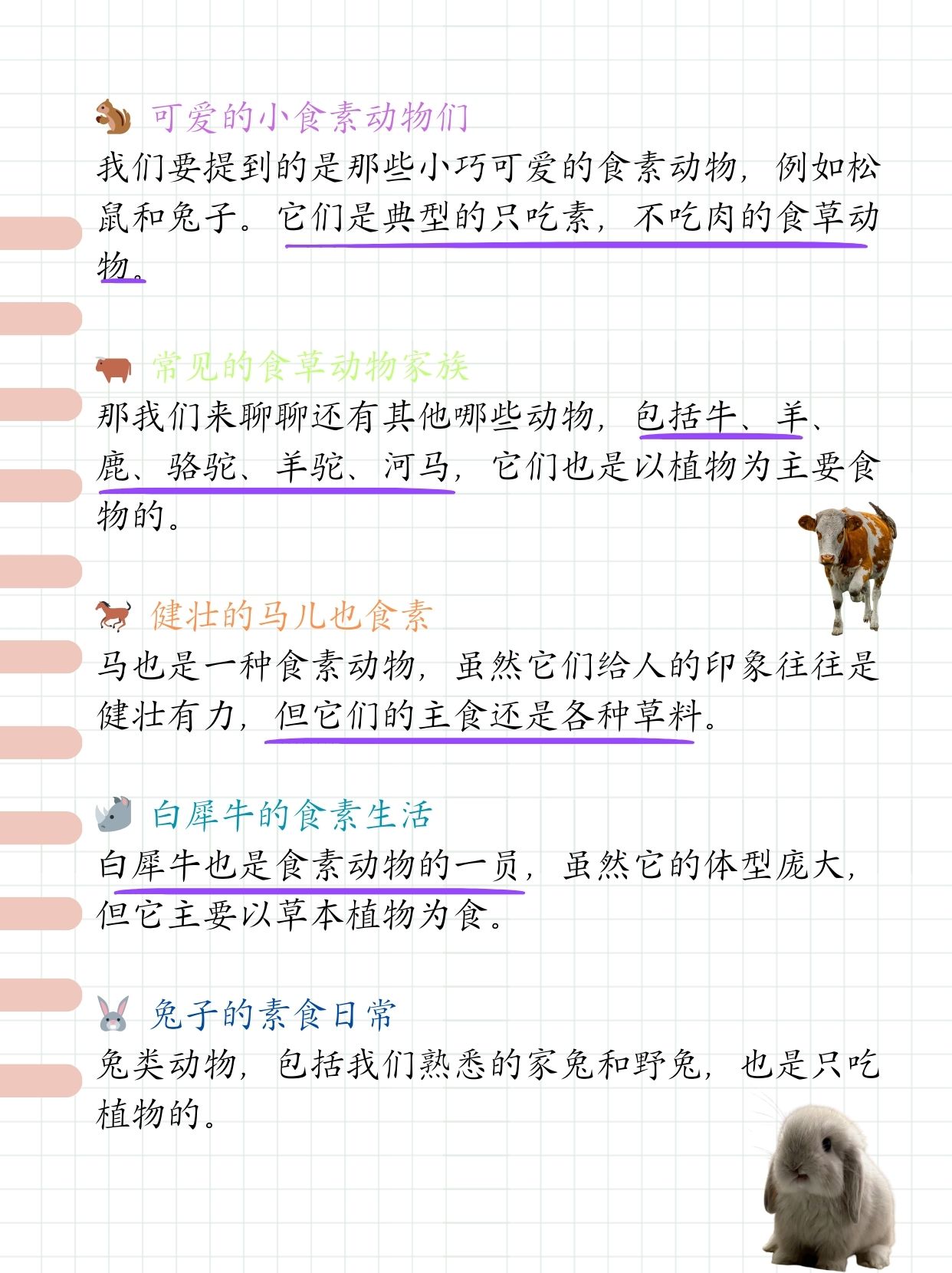男朋友想吃我的小兔子什么意思解读男朋友想吃我的小兔子的深层含义-第2张图片