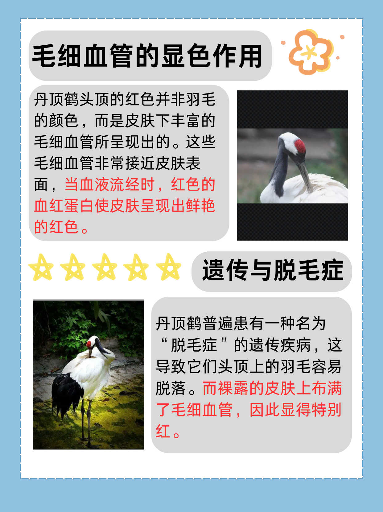 一二三四在线观看韩国视频的体验与探索